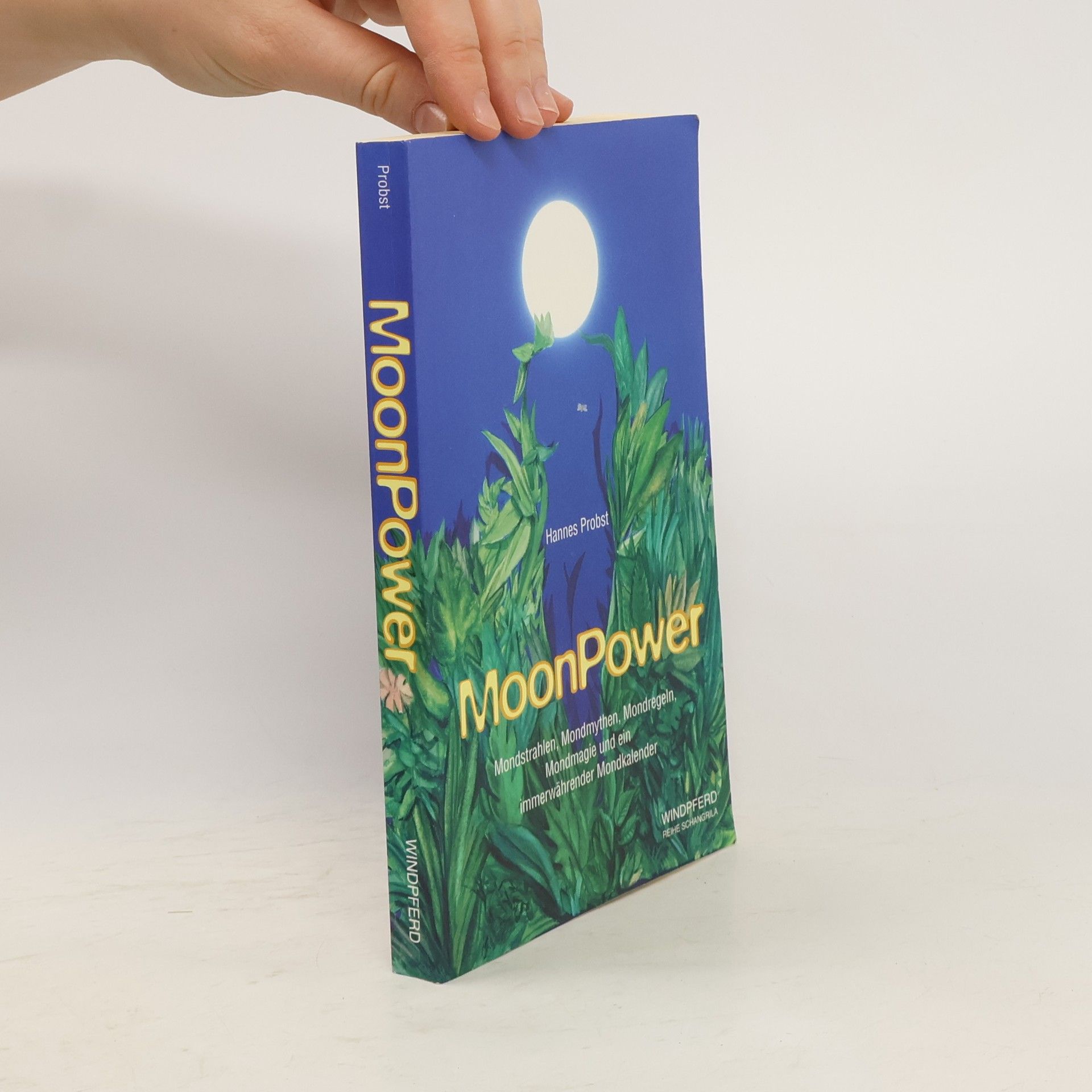 Hannes Probst MoonPower