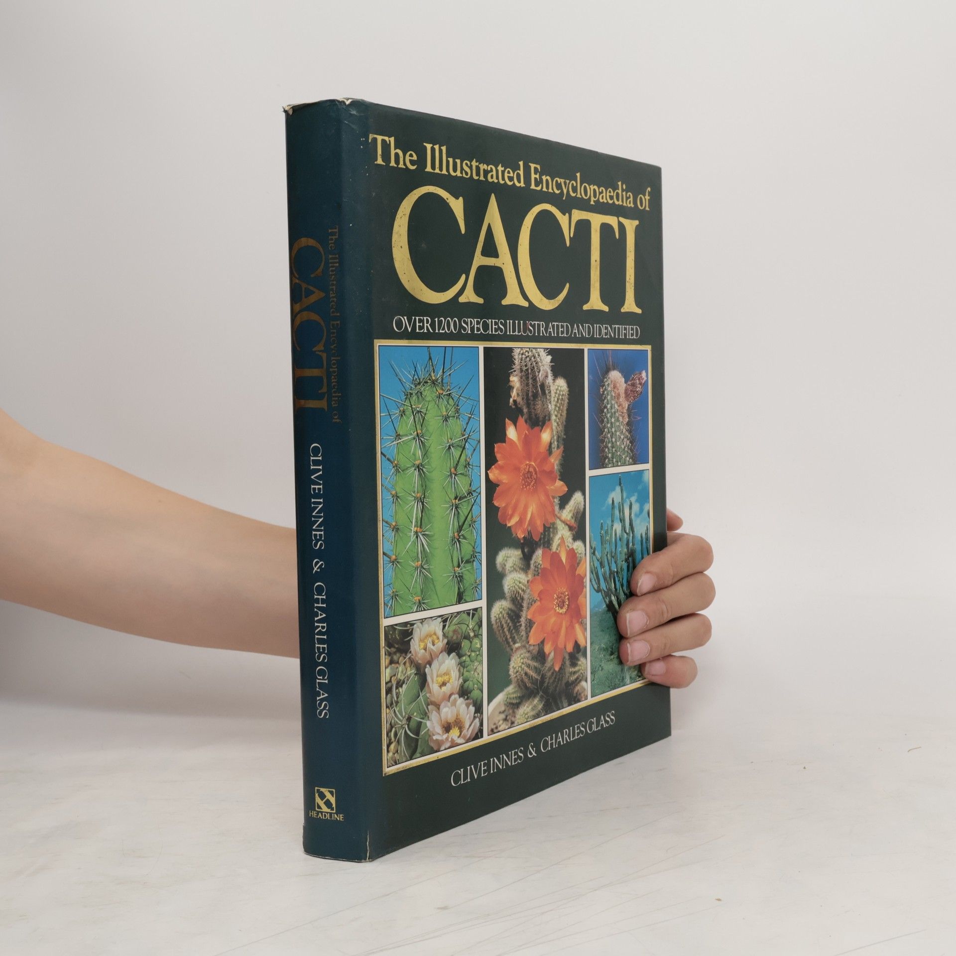 Clive Innes Illustrated Encyclopedia of Cacti