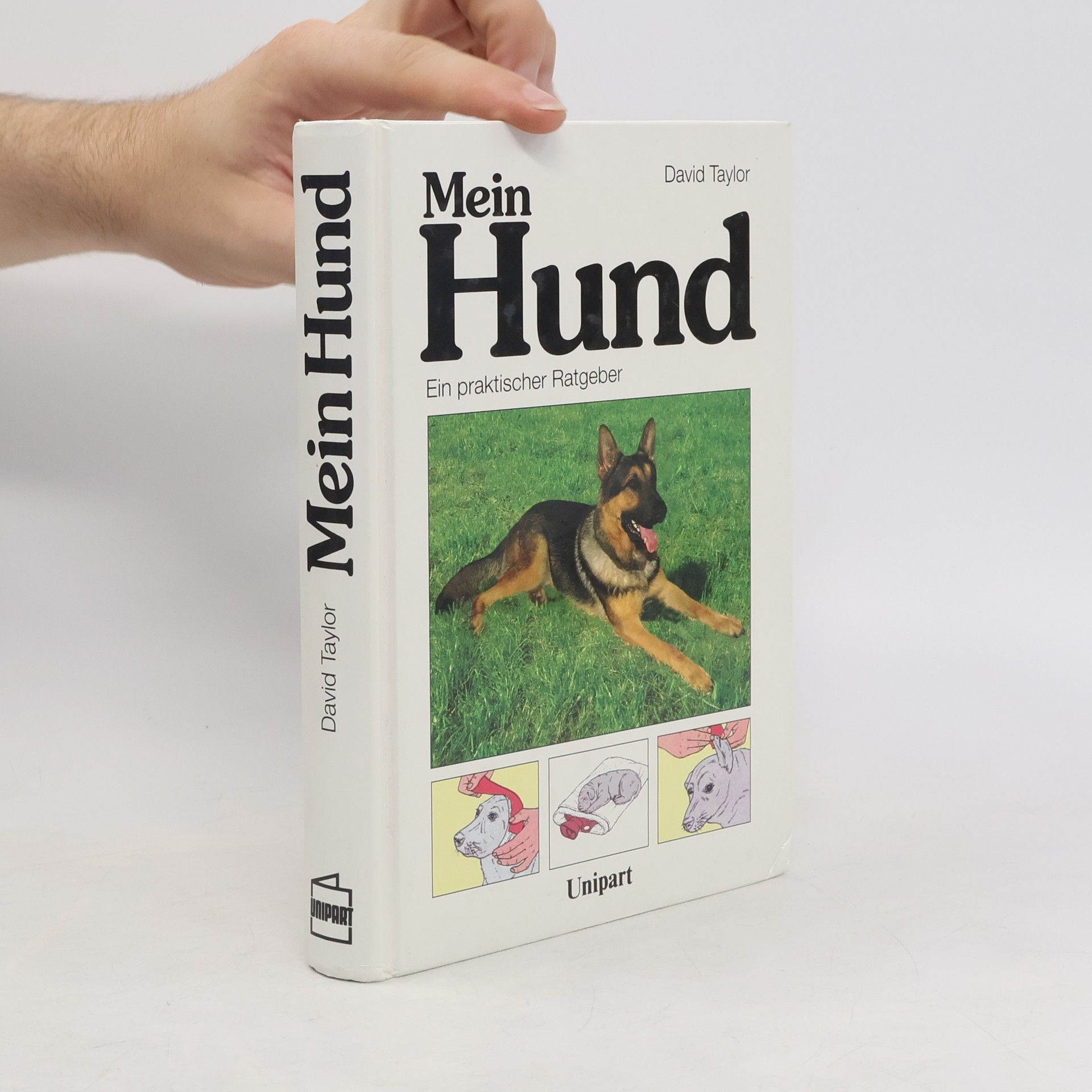 Collective Mein Hund