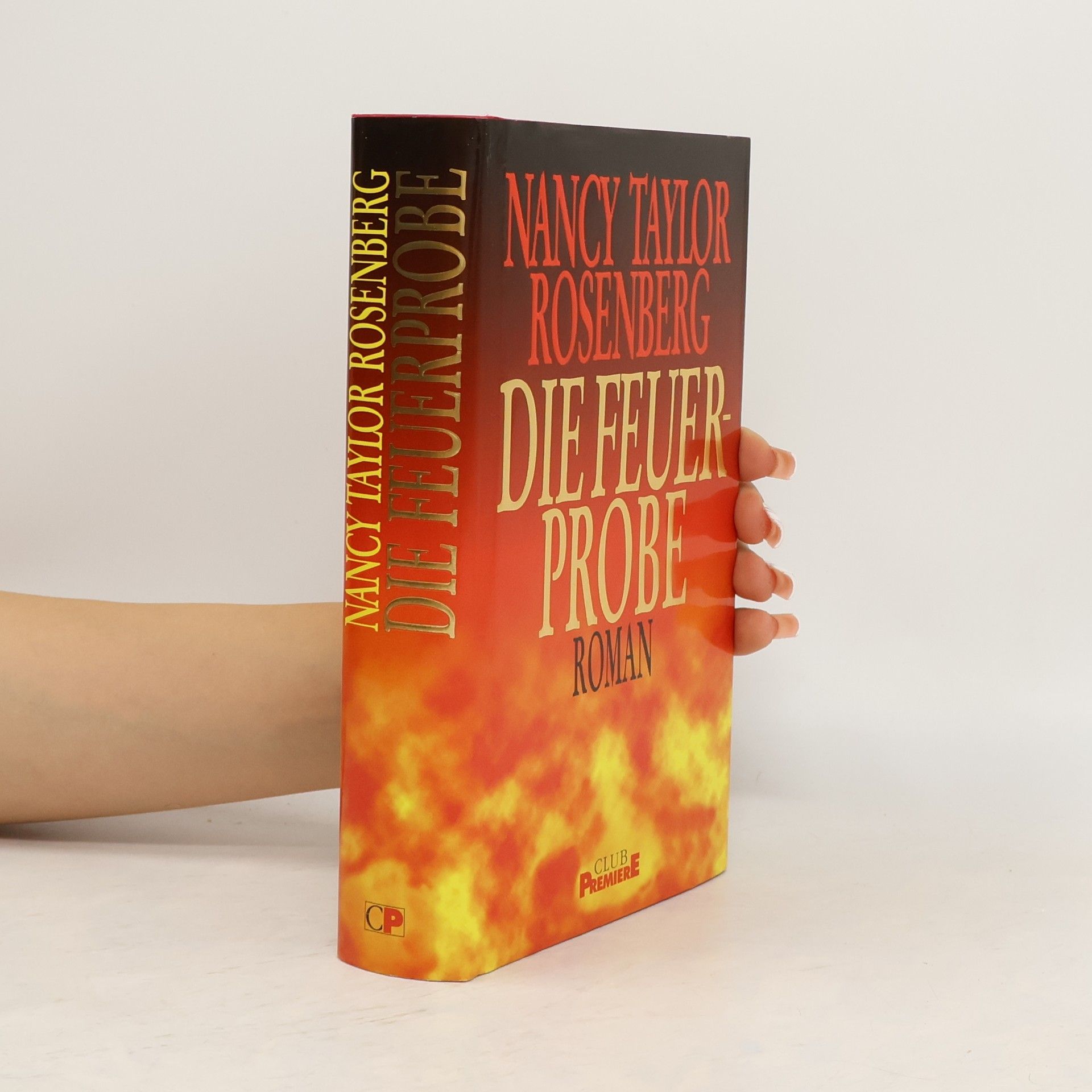 Nancy Taylor Rosenberg Die Feuerprobe