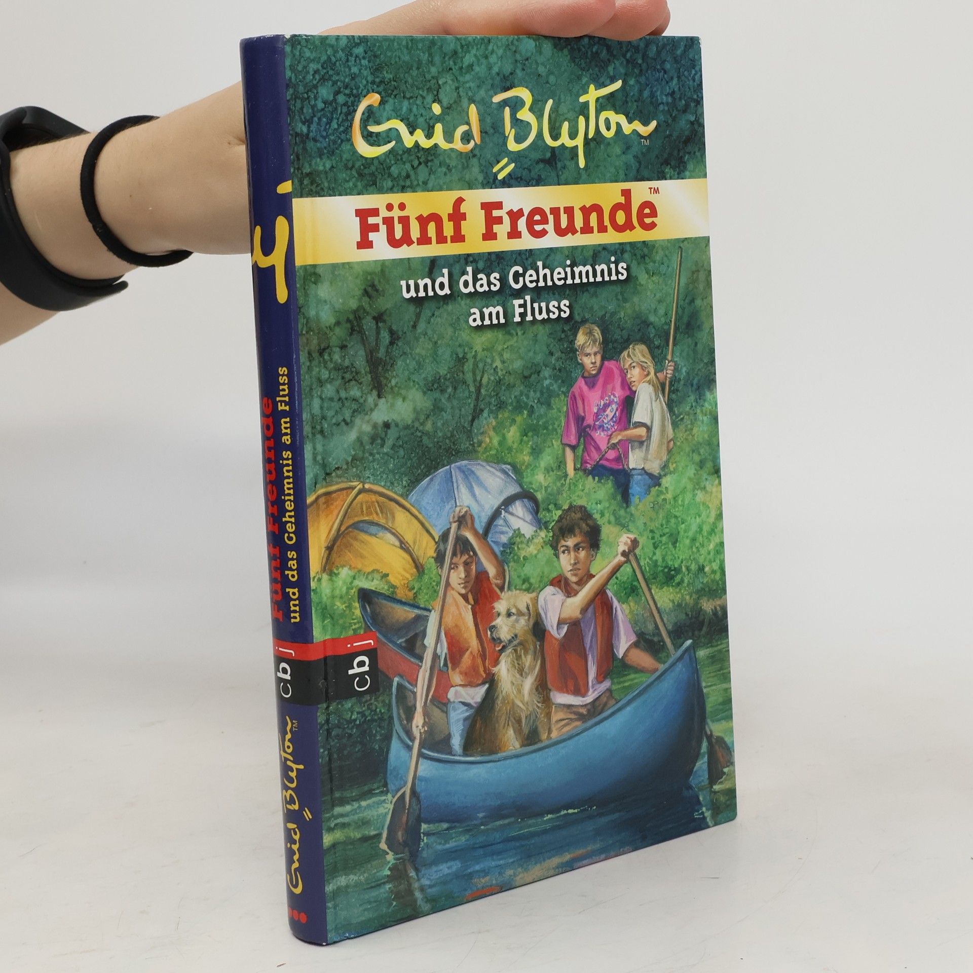 Sarah Bosse Fünf Freunde und das Geheimnis am Fluss