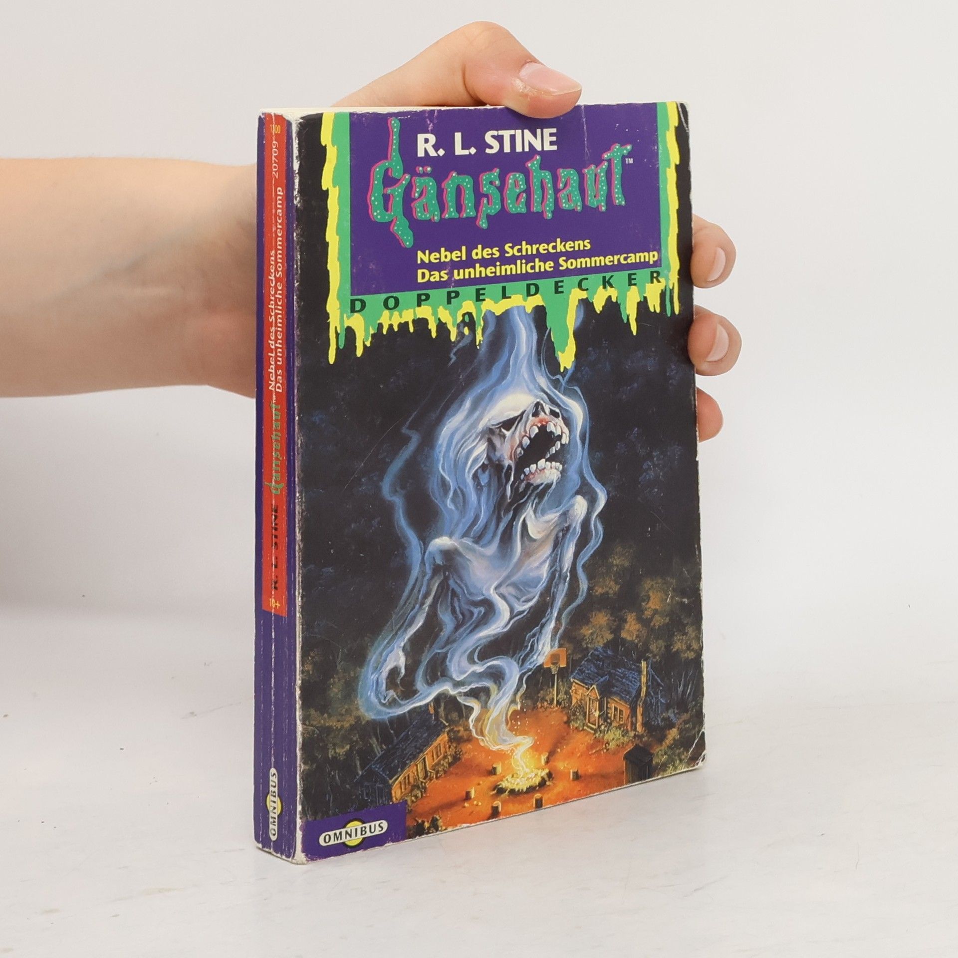 R. L. Stine Gänsehaut. Nebel des Schreckens. Das unheimliche Sommercamp