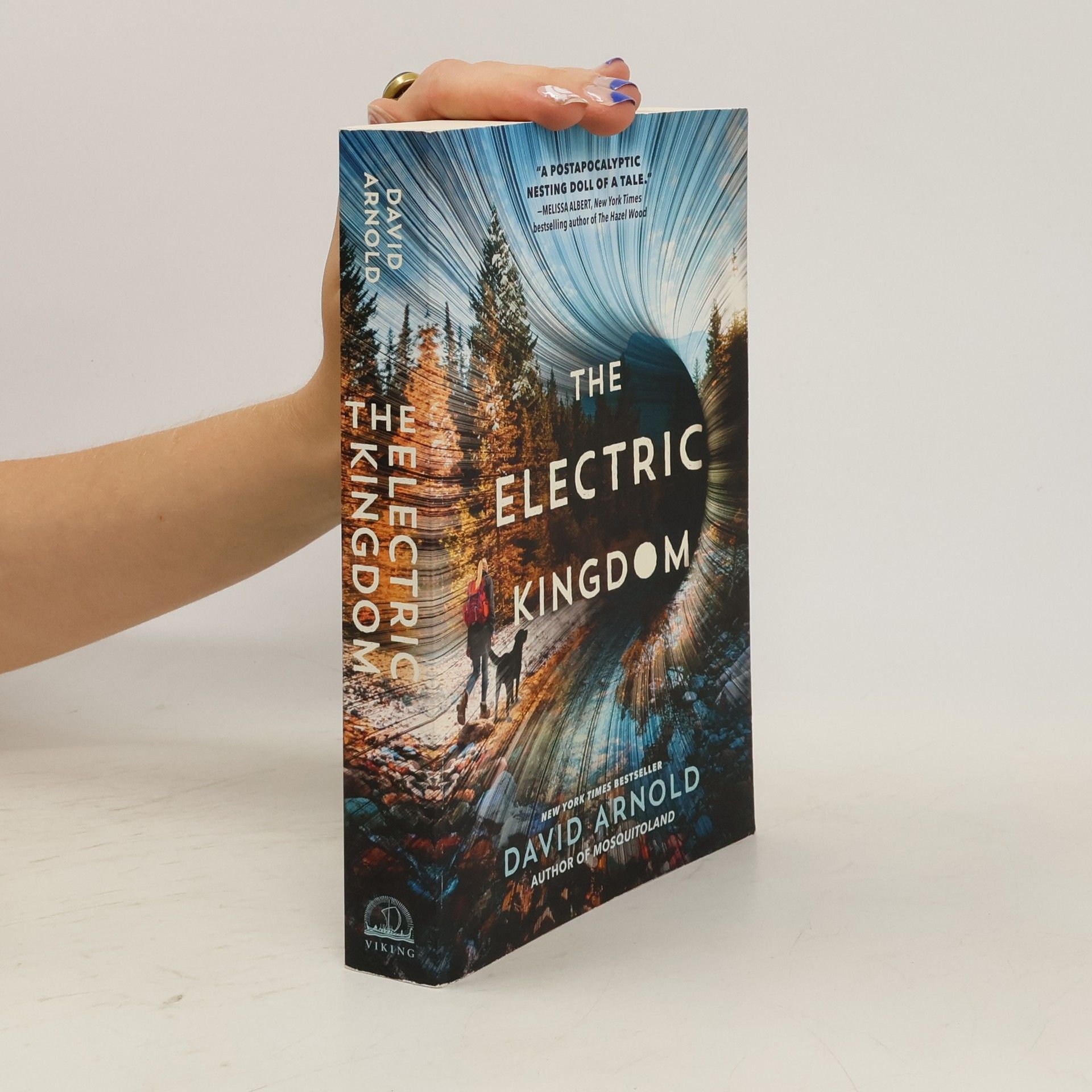 Arnold Dávid The Electric Kingdom