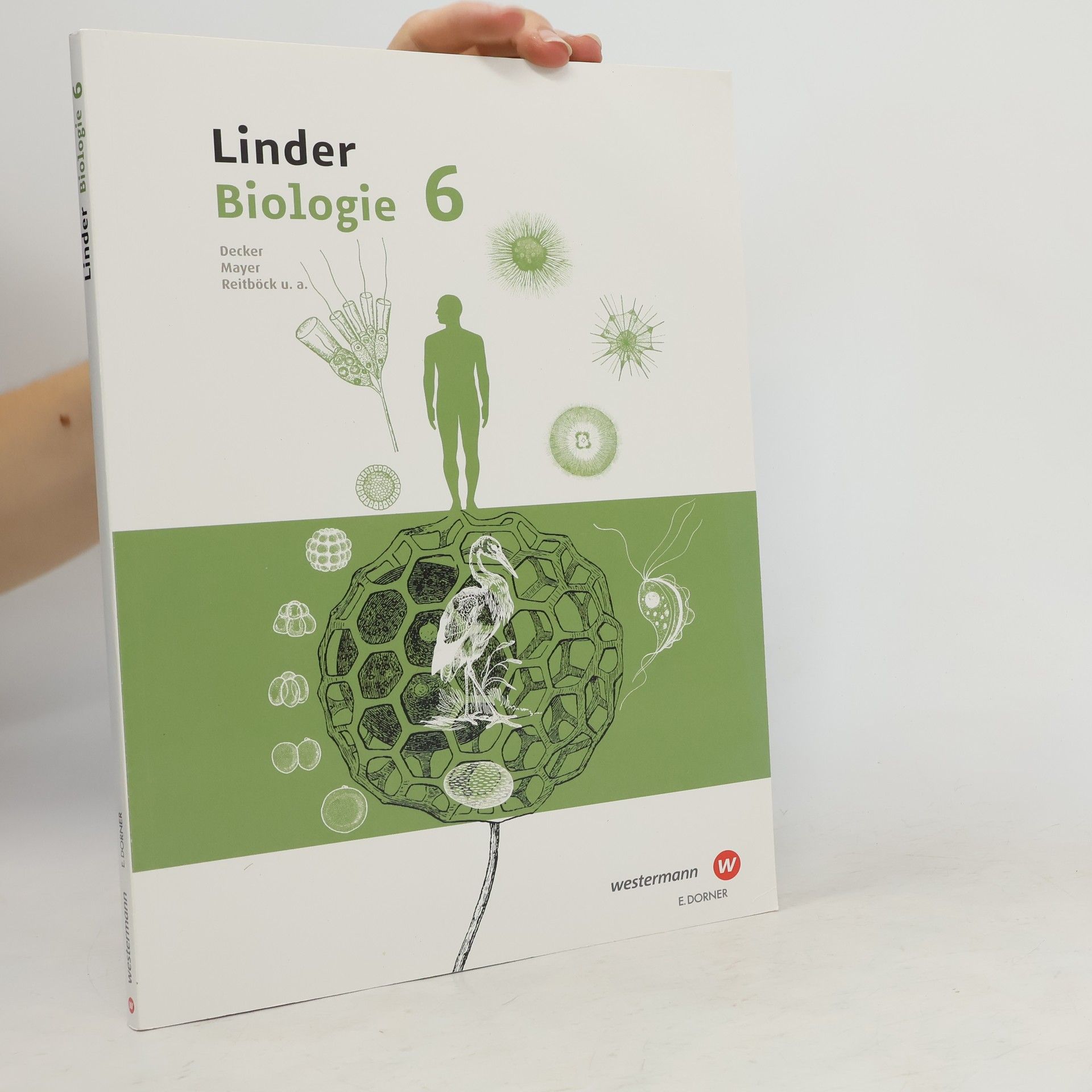 Autorenkollektiv Linder Biologie 6