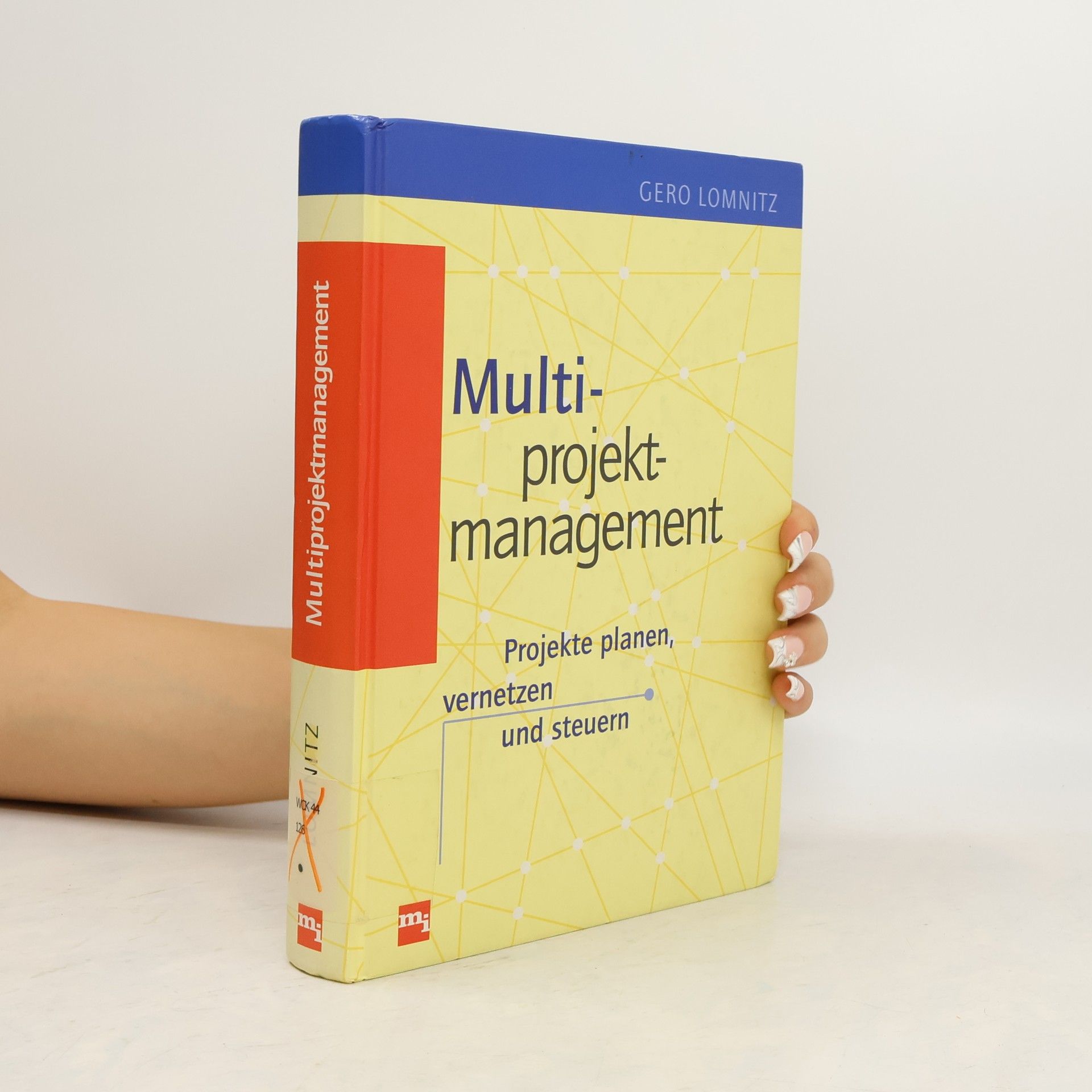 Gero Lomnitz Multiprojektmanagement