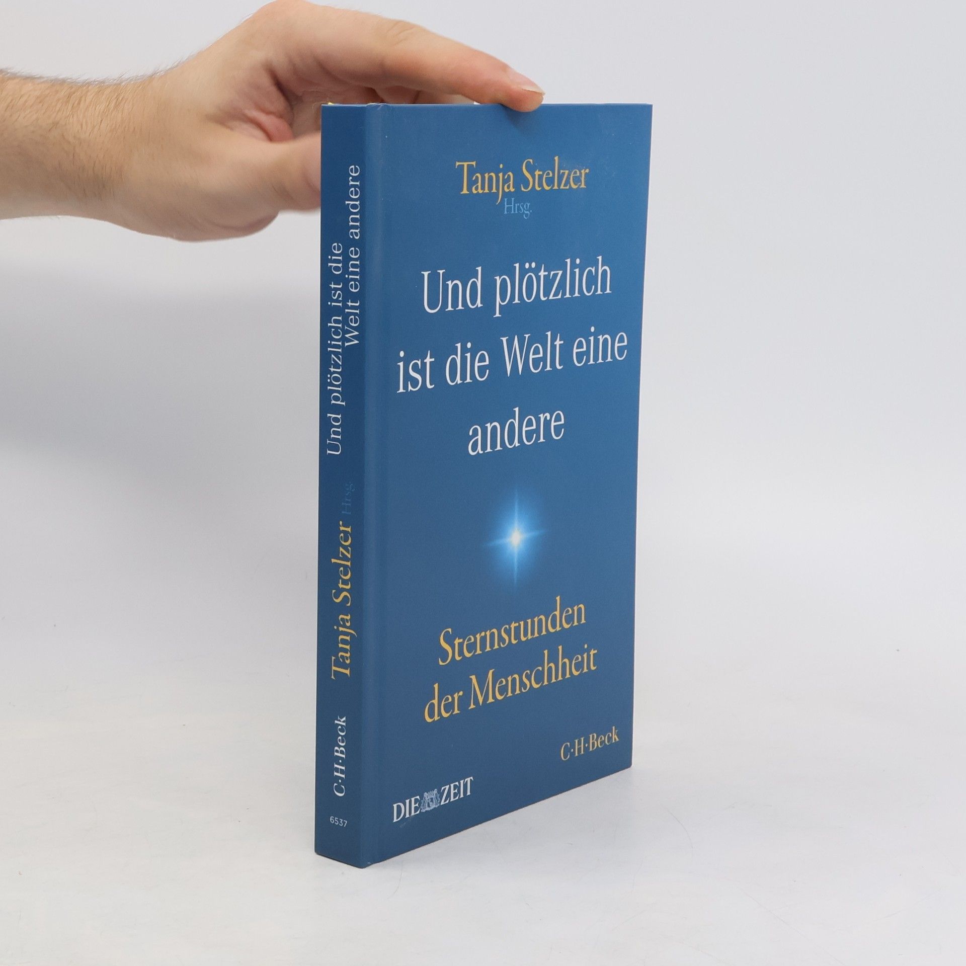 Tanja Stelzer Und plötzlich ist die Welt eine andere
