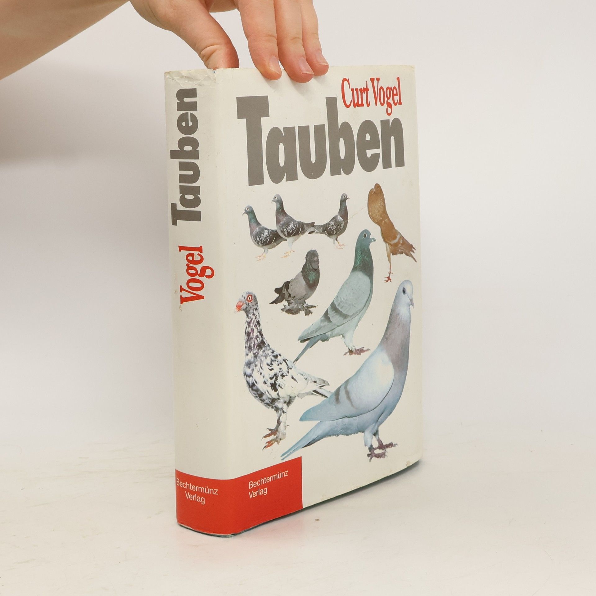 Curt Vogel Tauben