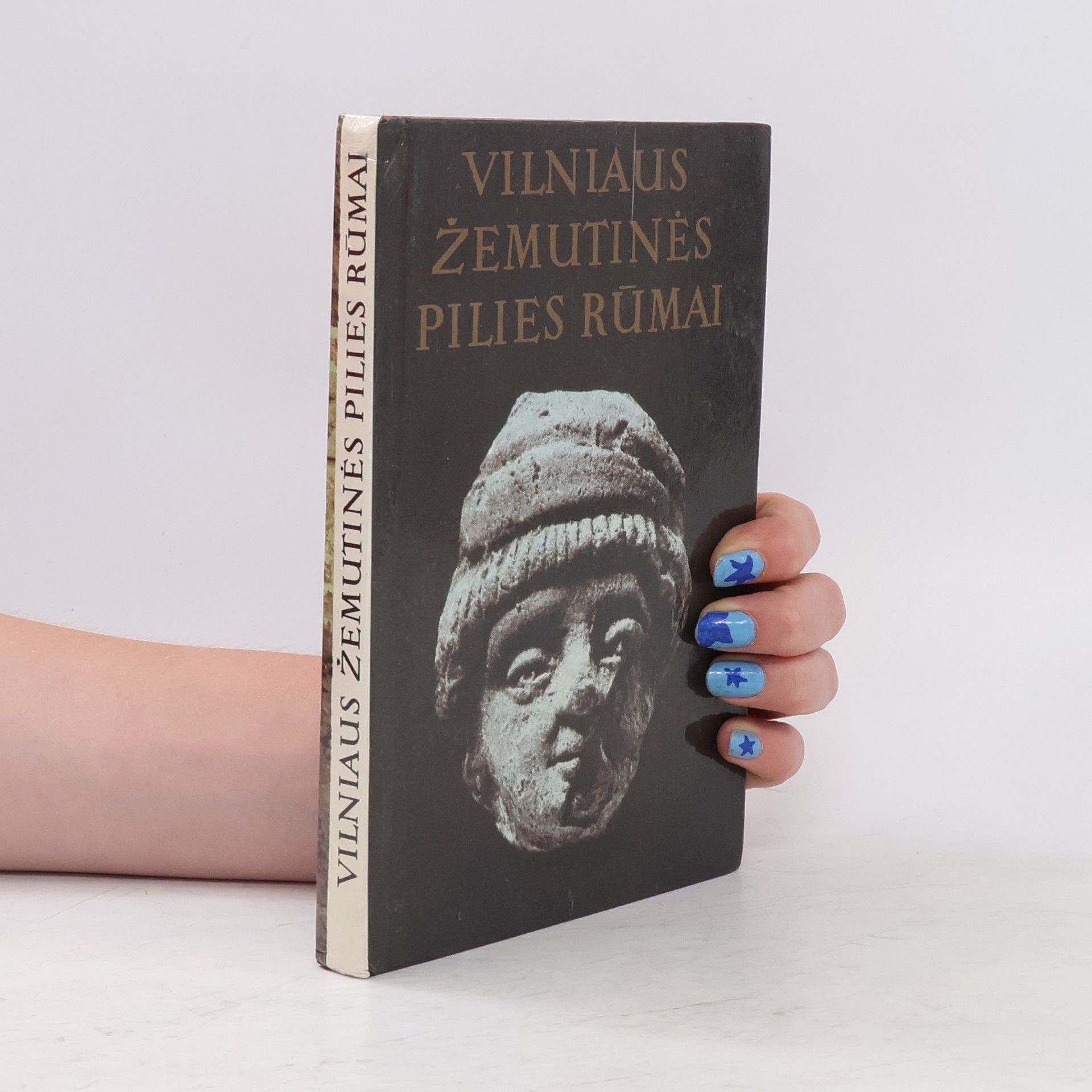 Autorenkollektiv Vilniaus žemutinės pilies rūmai