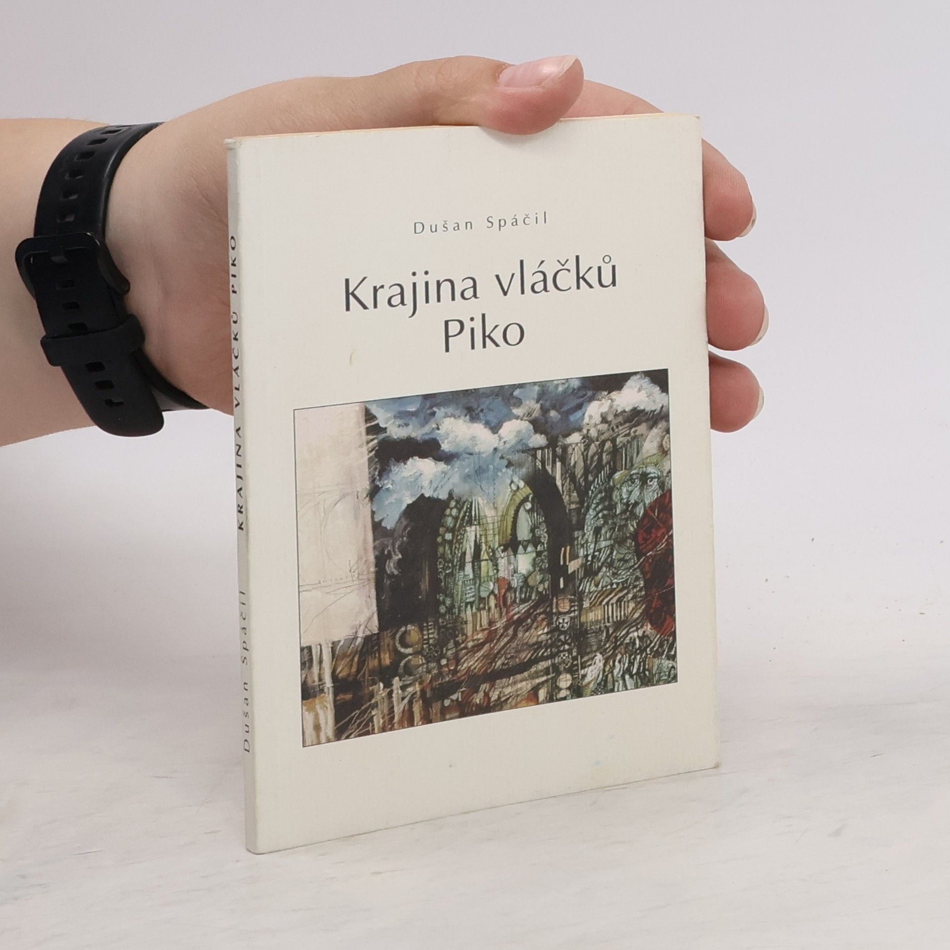Dušan Spáčil Krajina vláčků Piko