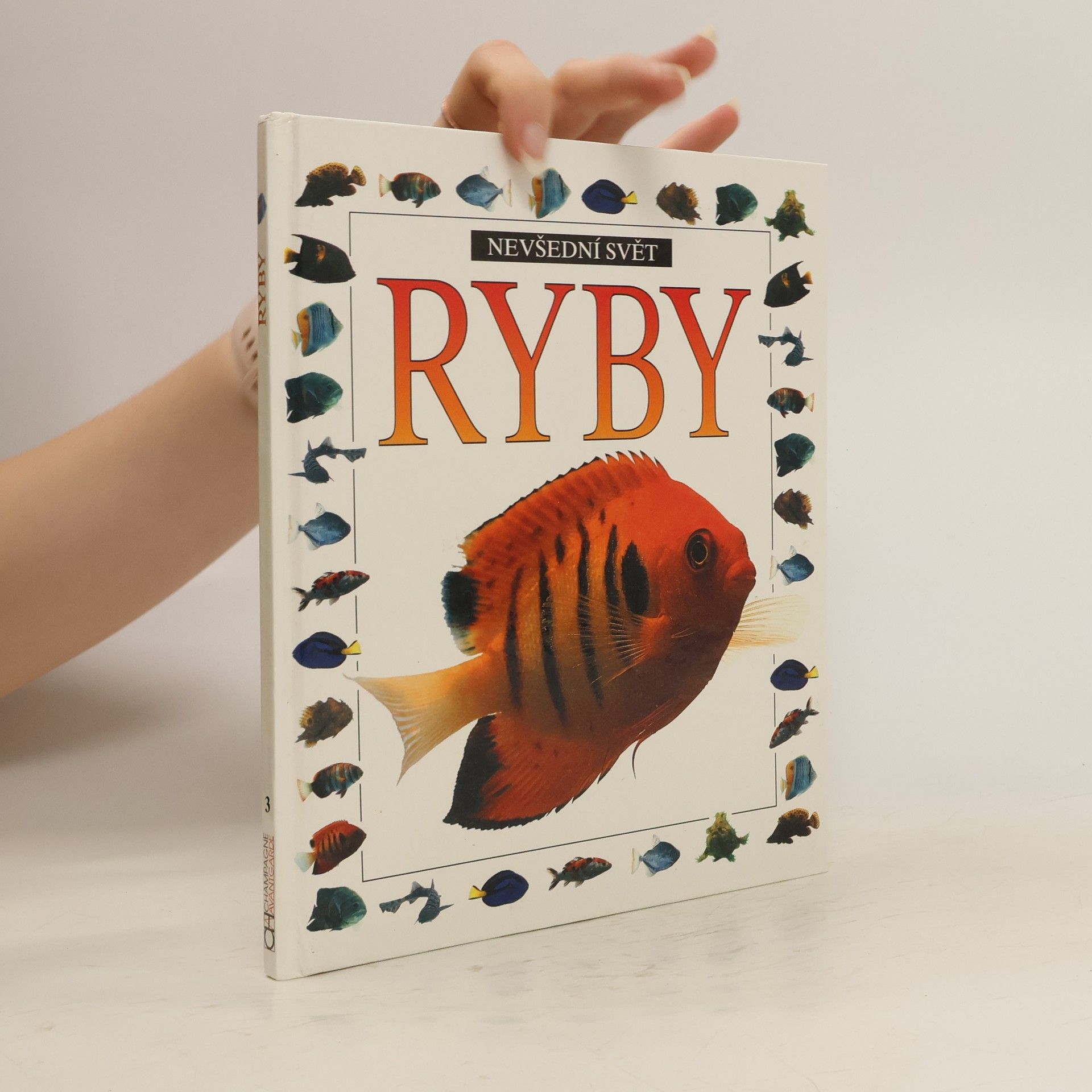 Autorenkollektiv Nevšední svět - Ryby