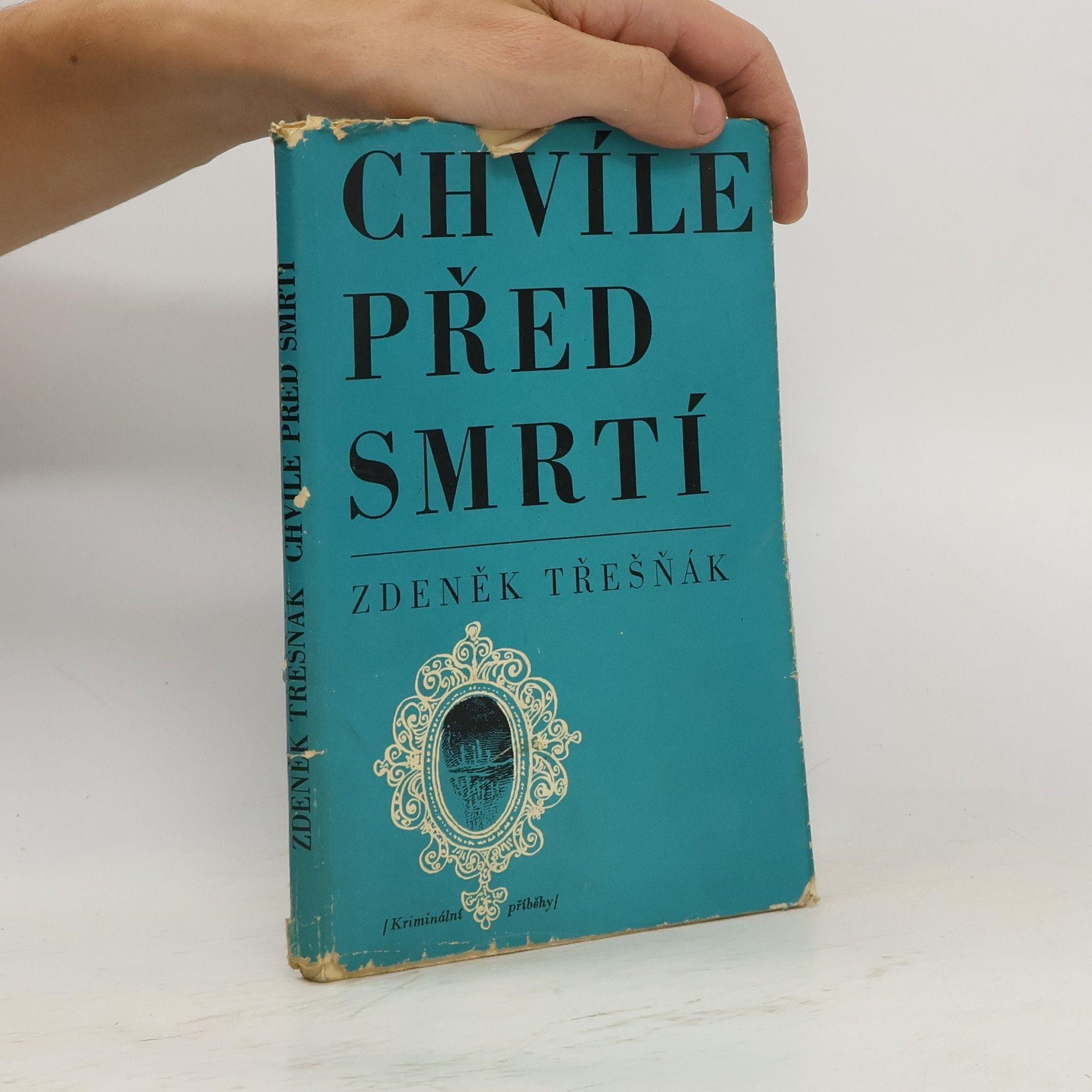 Zdeněk Třešňák Chvíle před smrtí