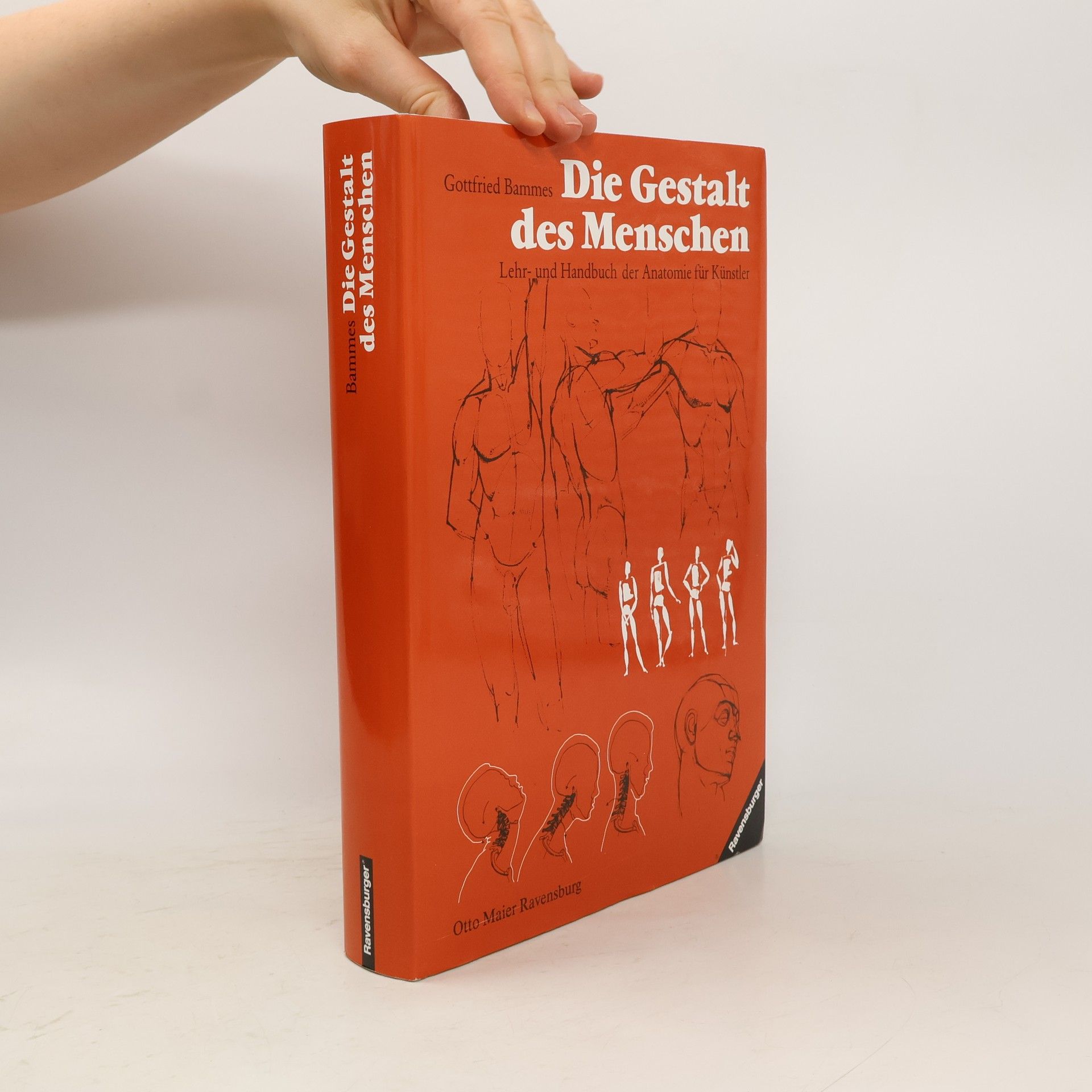 Gottfried Bammes Die Gestalt des Menschen