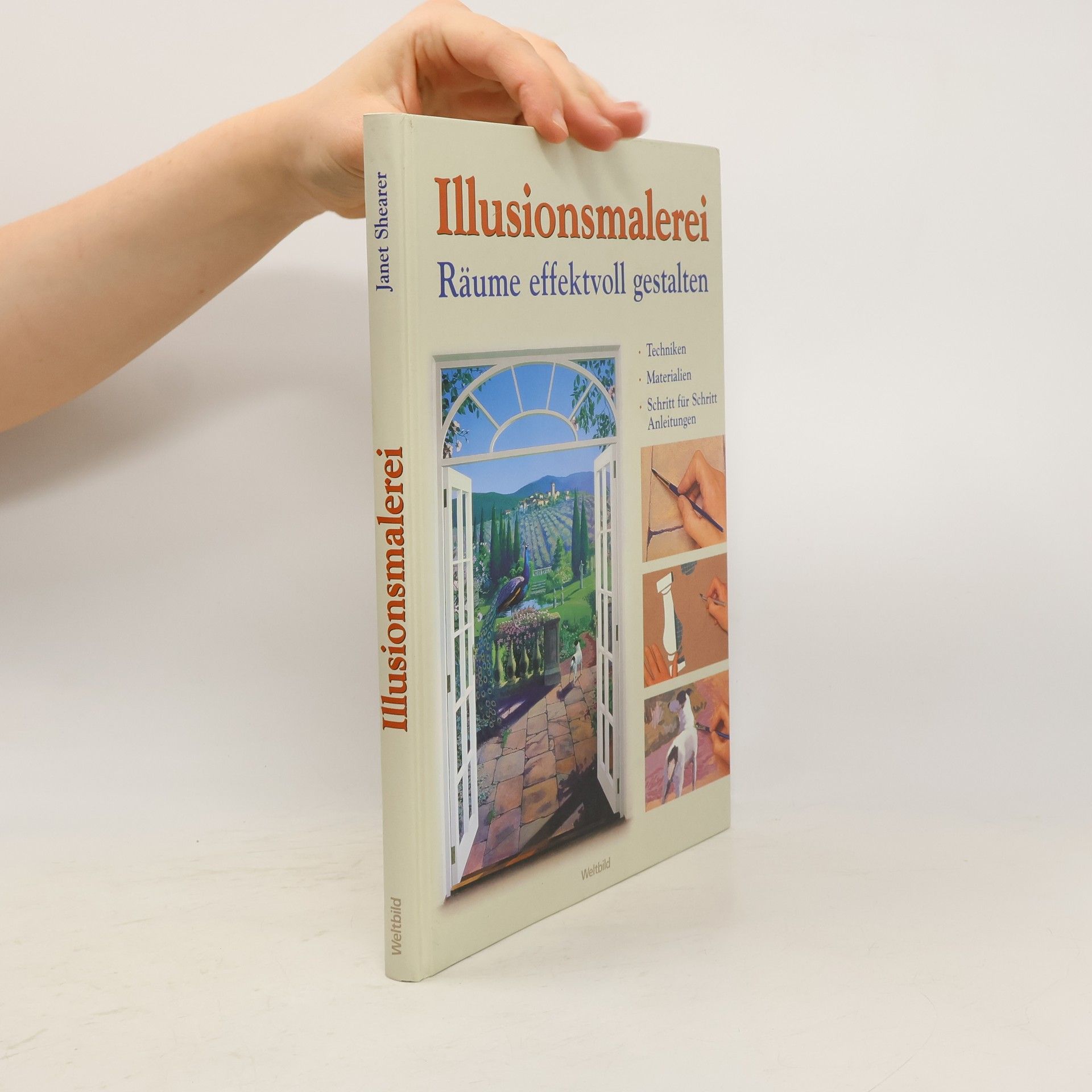 Janet Shearer Illusionsmalerei