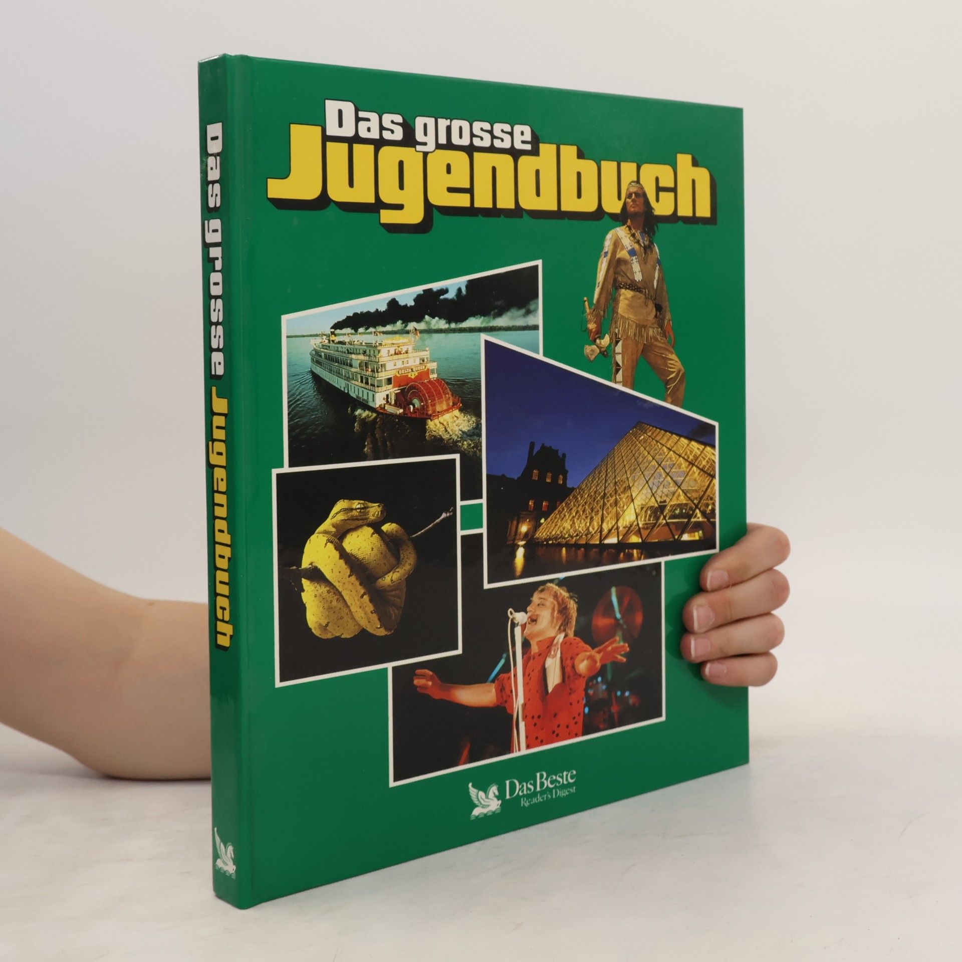 Autorenkollektiv Das grosse Jugendbuch