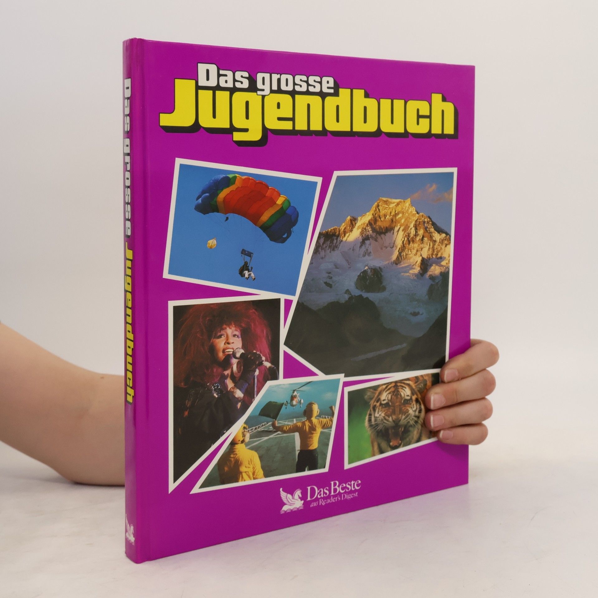 Autorenkollektiv Das große Jugendbuch