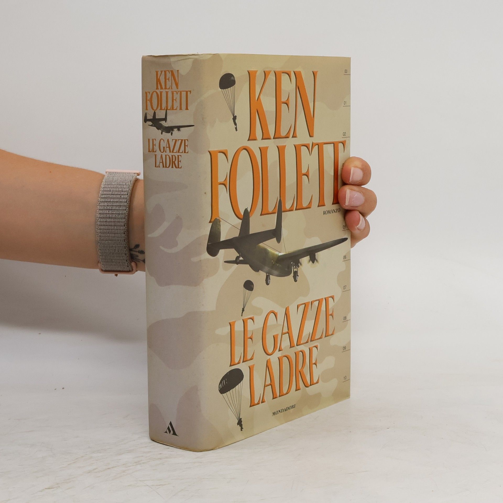 Annamaria Raffo Le gazze ladre
