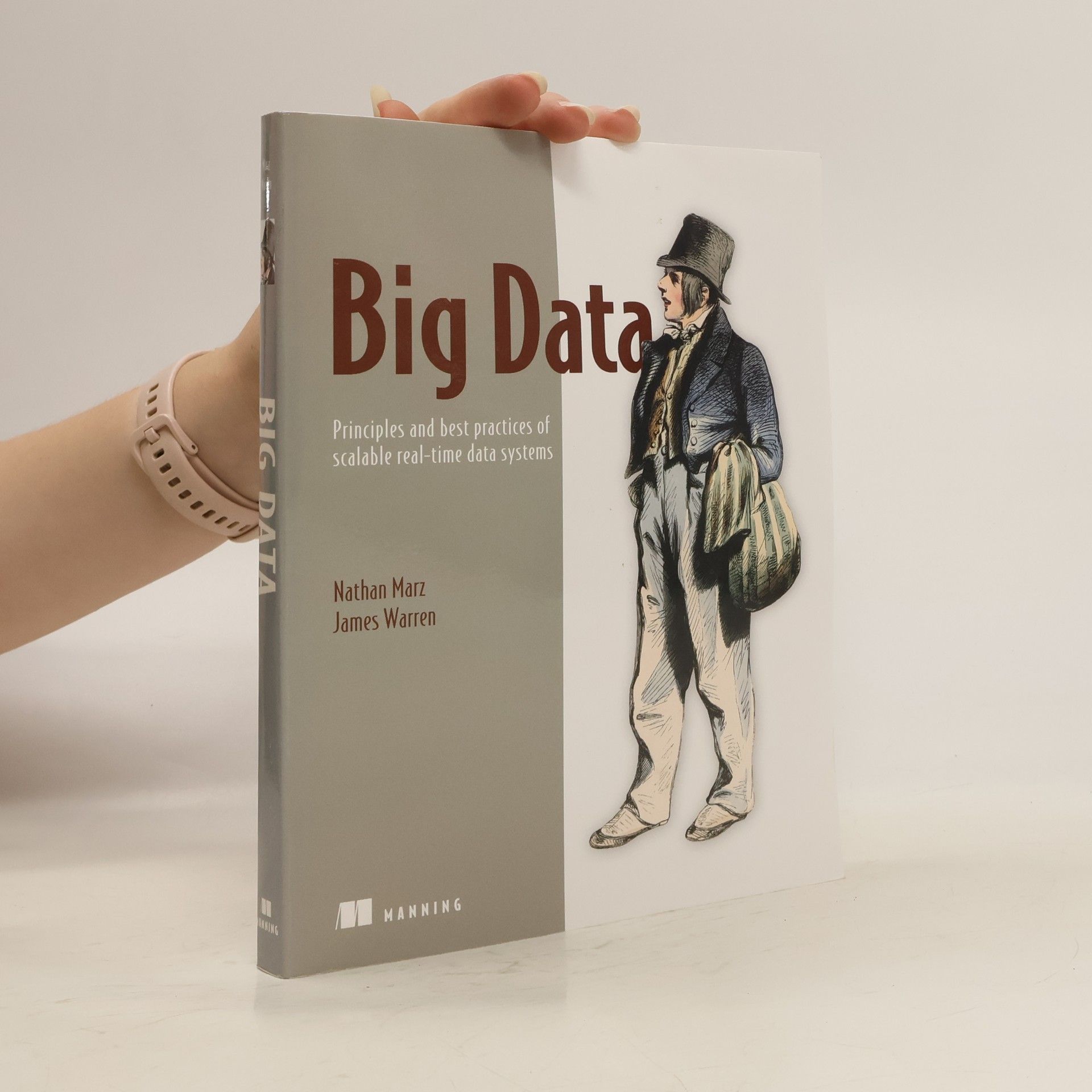 Nathan Marz Big Data: Principles and Best Practices of Scalable Real-time Data Systems