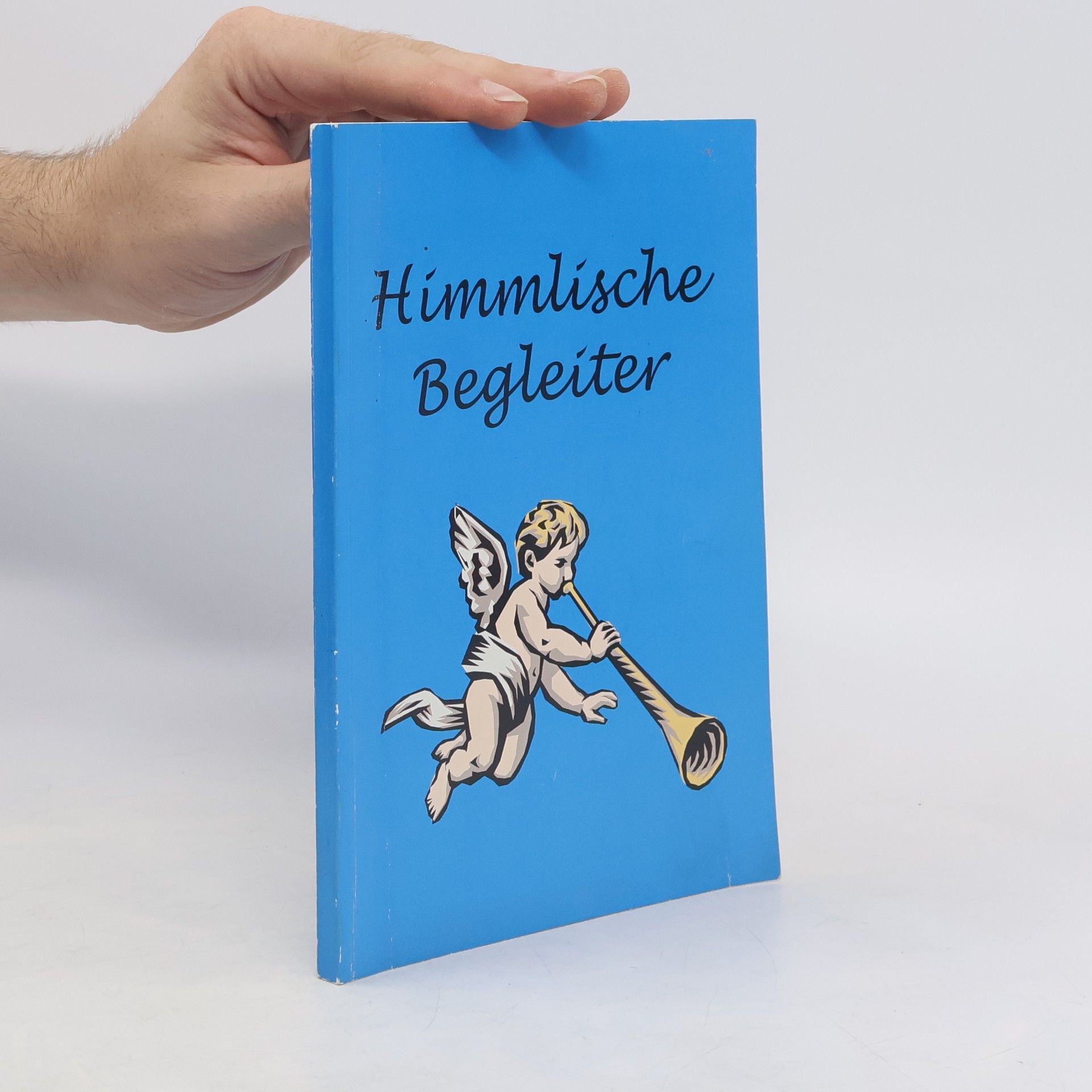 Collectif d'auteurs Himmlische Begleiter