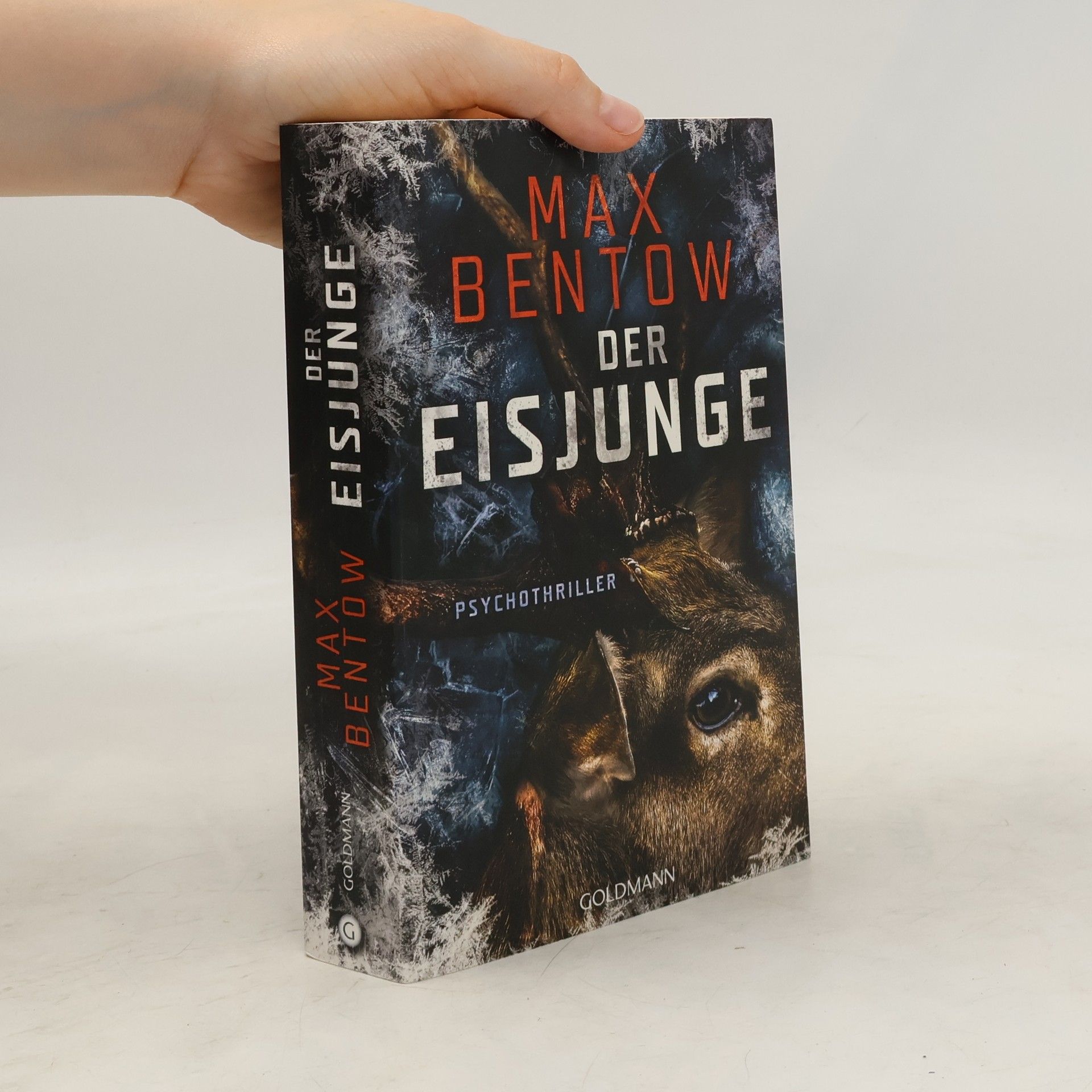 Max Bentow Der Eisjunge