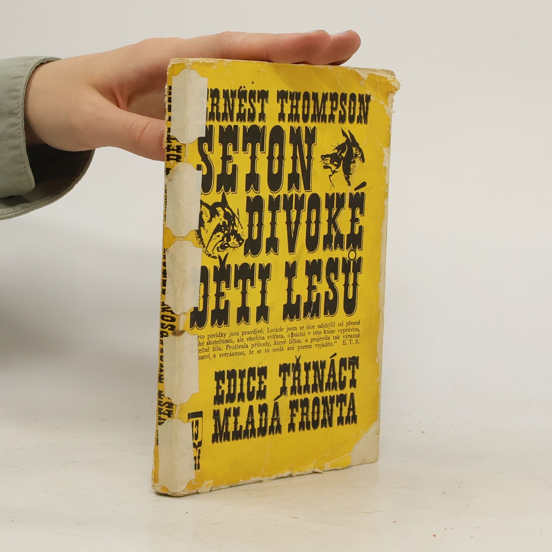 Ernest Thompson Seton Divoké děti lesů