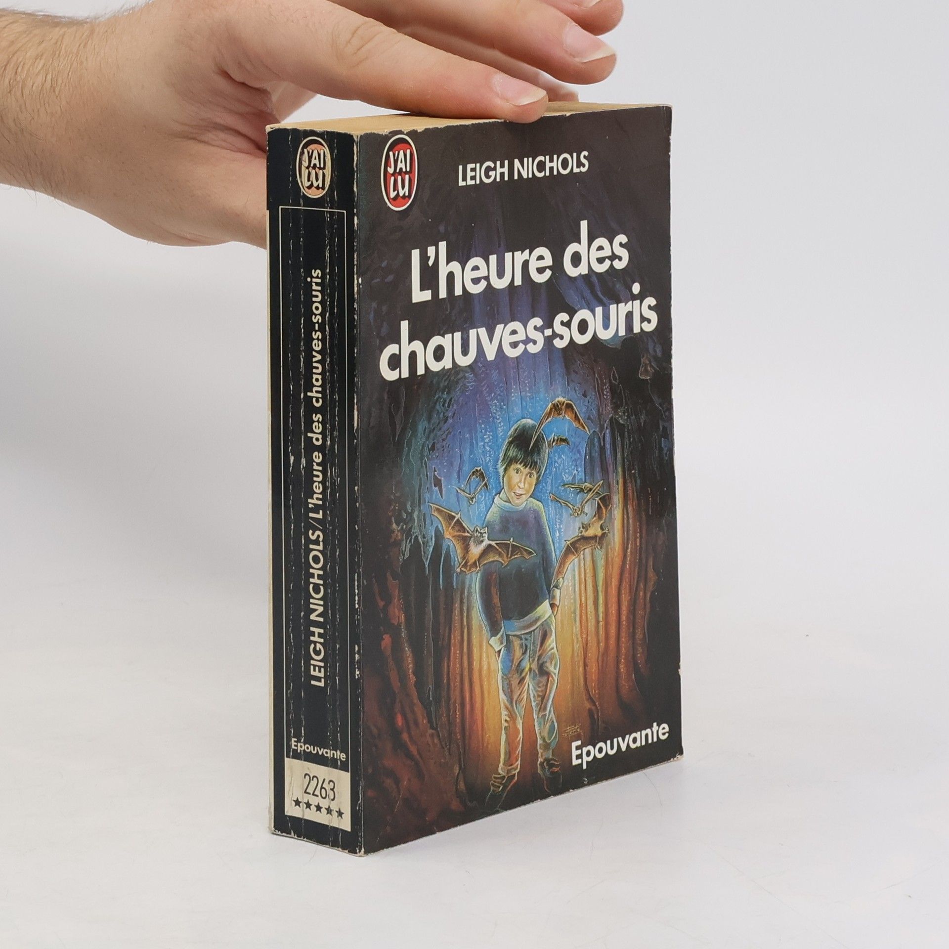 Dean R. Koontz L'heure des chauves-souris