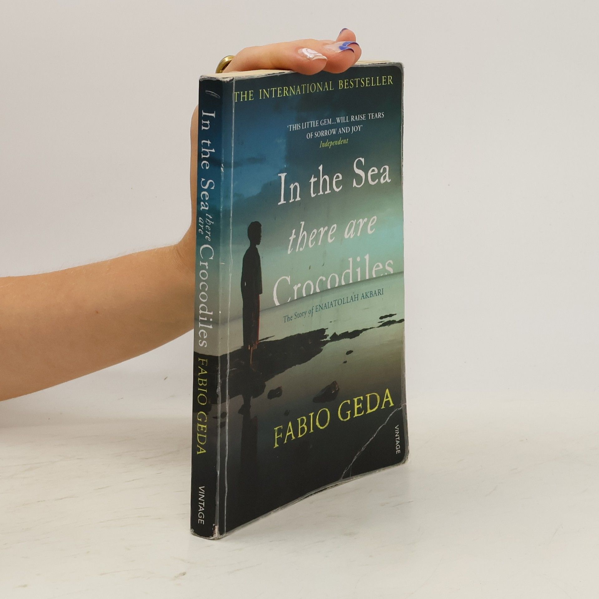 Fabio Geda In the Sea There are Crocodiles