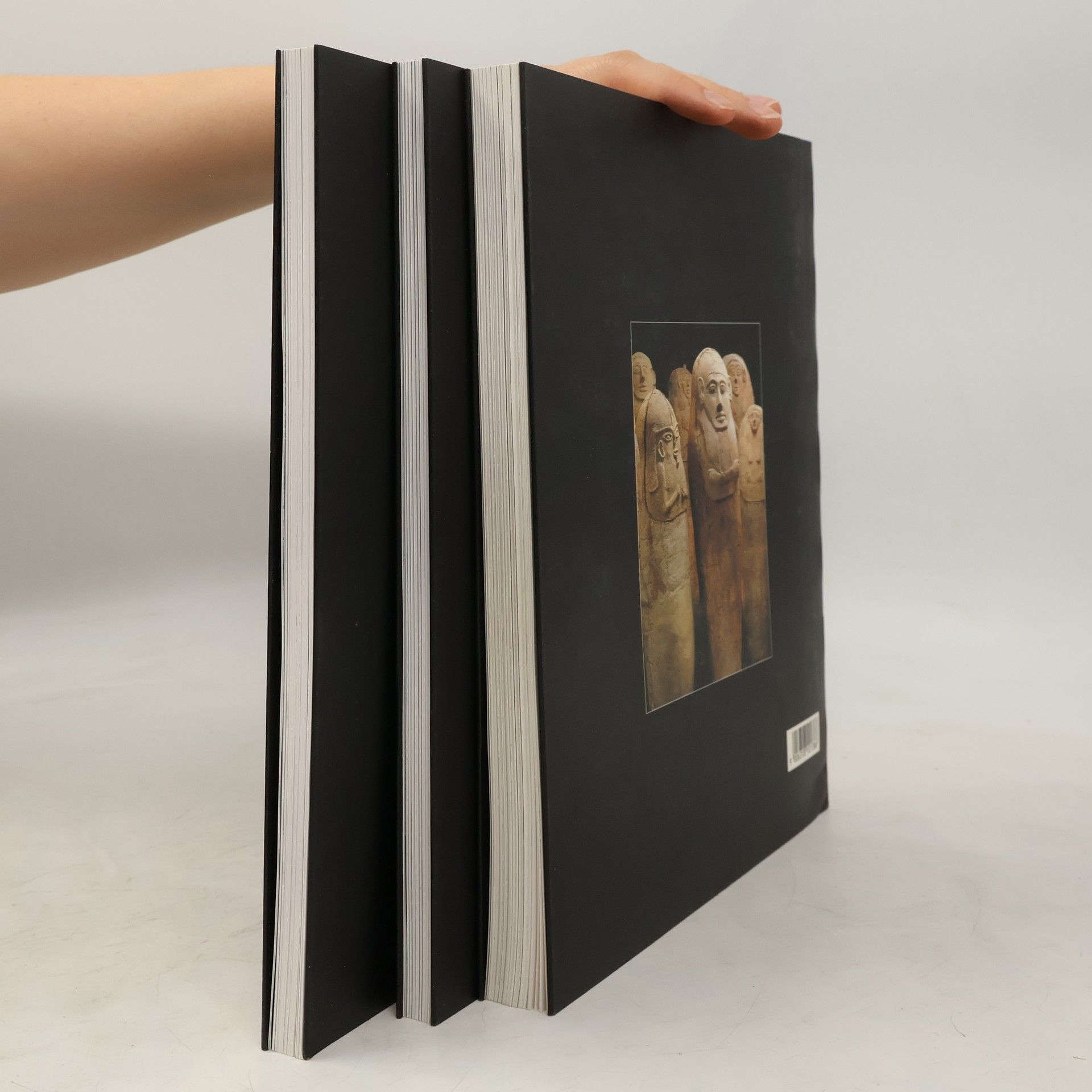 Autorenkollektiv Land der Bibel