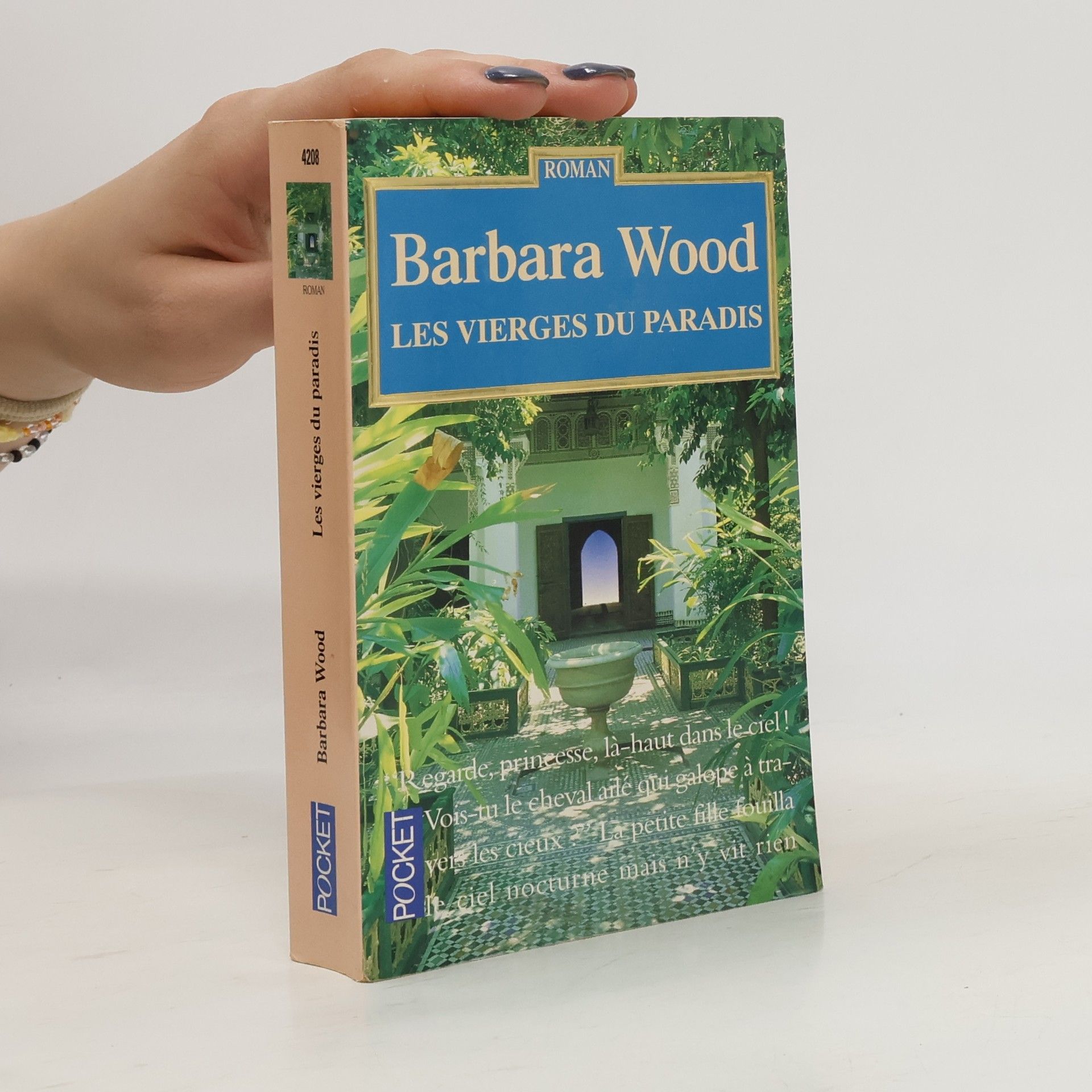 Barbara Wood Les Vierges du Paradis