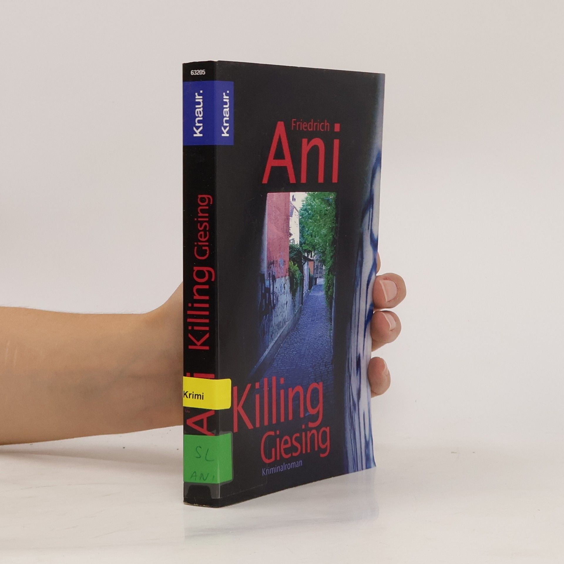 Friedrich Ani Killing Giesing