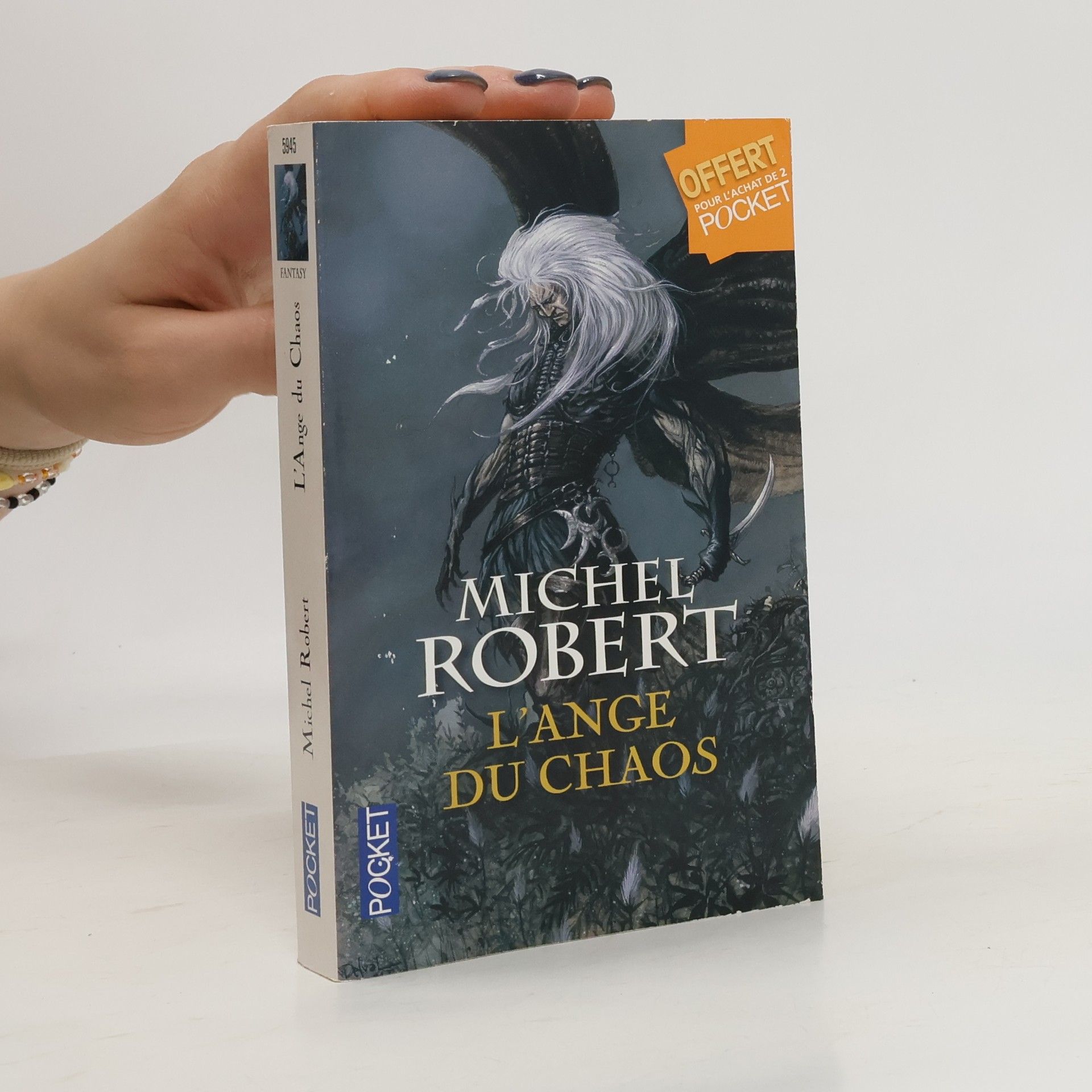 Michel Robert L'ange du chaos