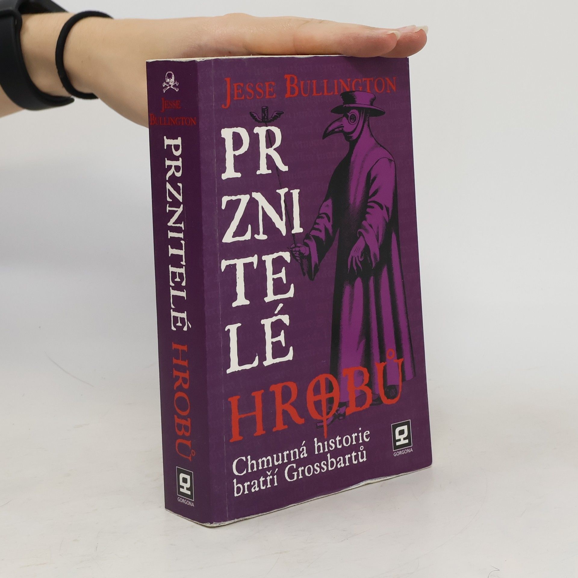 Jesse Bullington Prznitelé hrobů : chmurná historie bratří Grossbartů