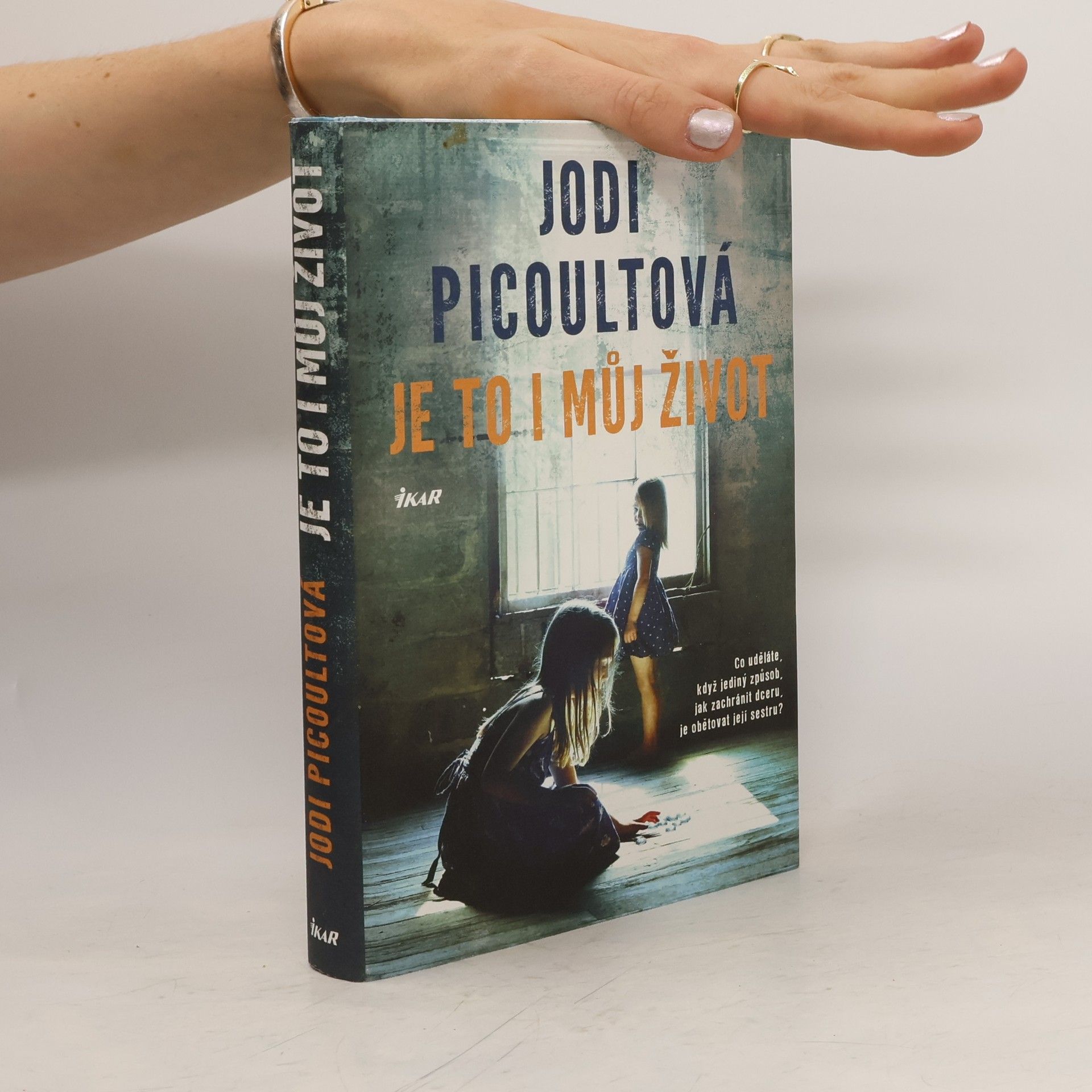 Jodi Picoult Je to i můj život