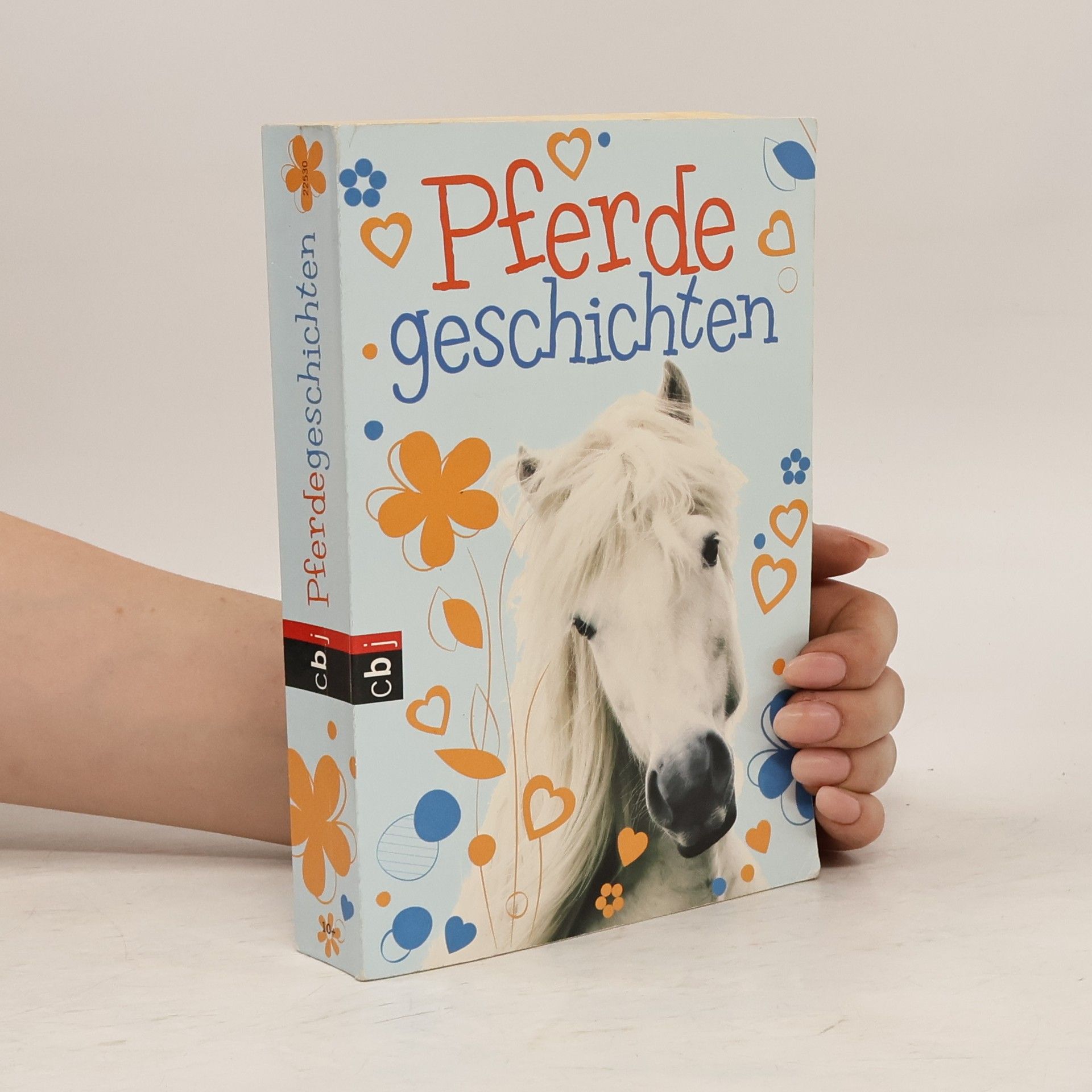 Christiane Gohl Pferdegeschichten
