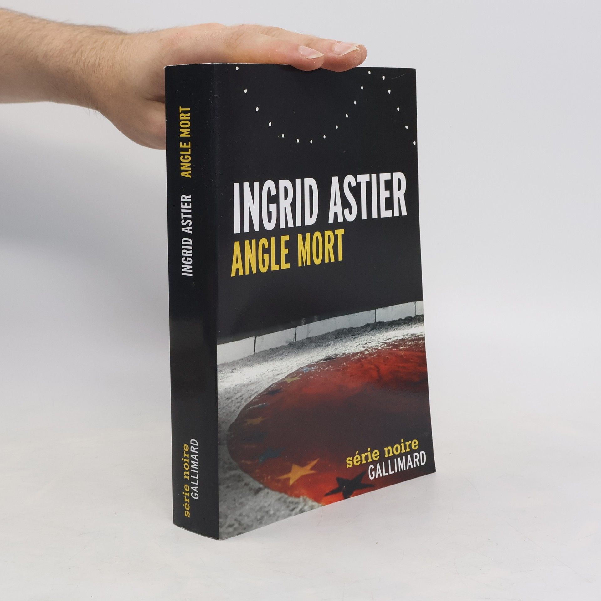 Ingrid Astier Série noire: Angle mort