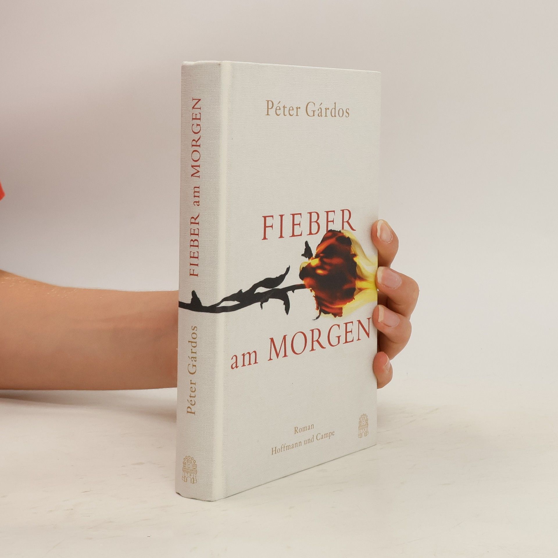 Péter Gárdos Fieber am Morgen