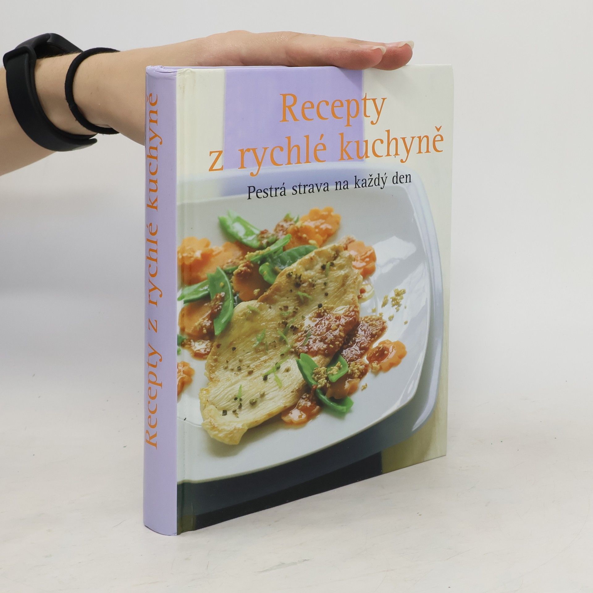 Jan Šindelka Recepty z rychlé kuchyně