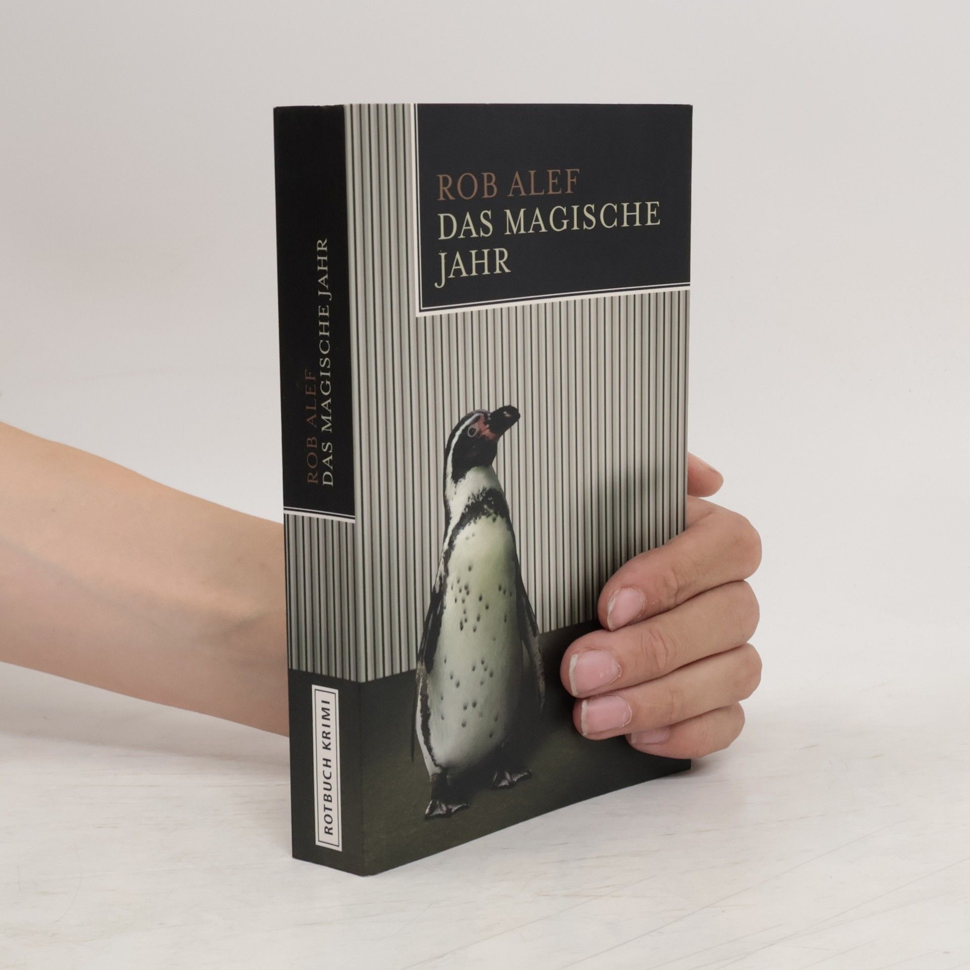 Ralf Oberndörfer Das magische Jahr