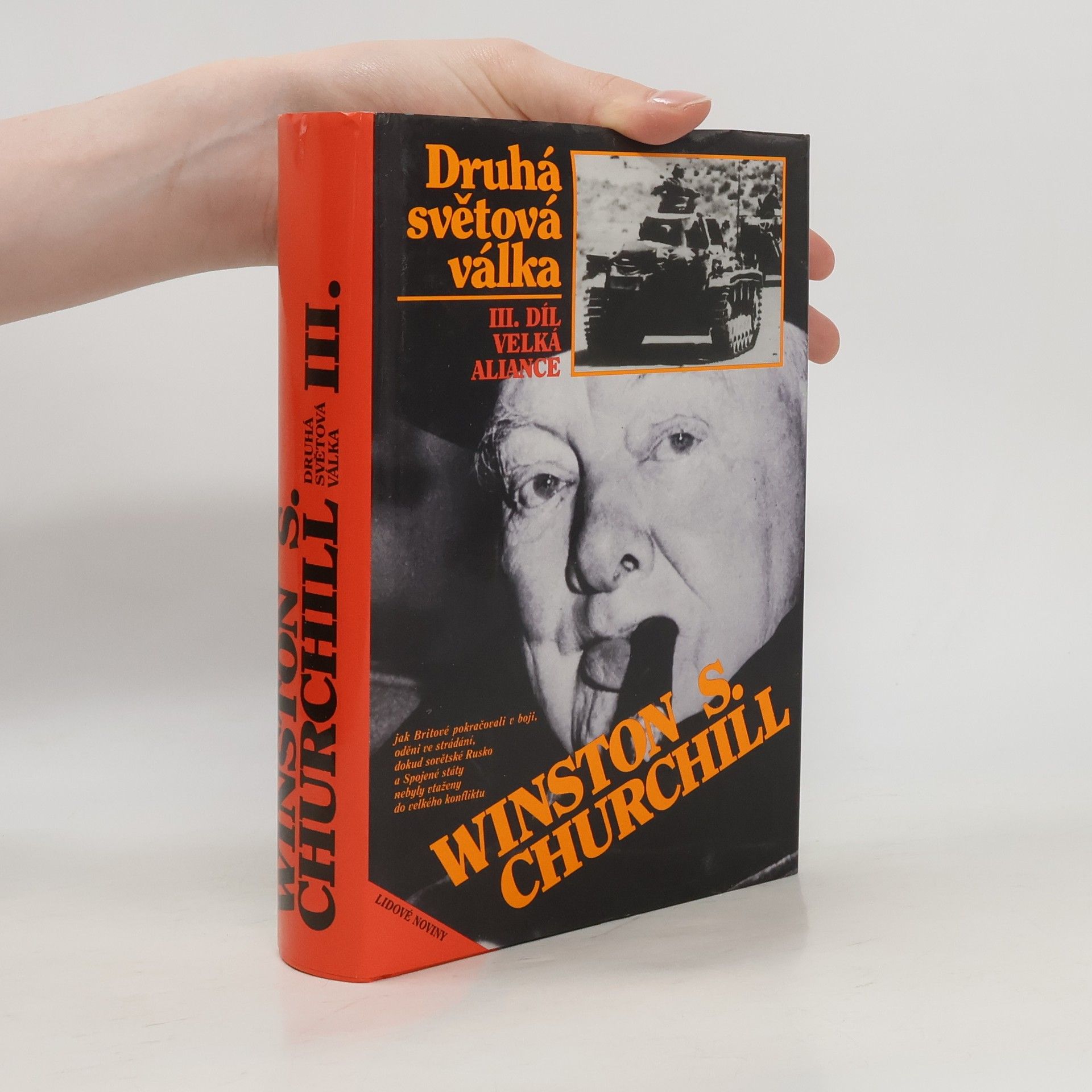 Druhá světová válka III. Velká aliance