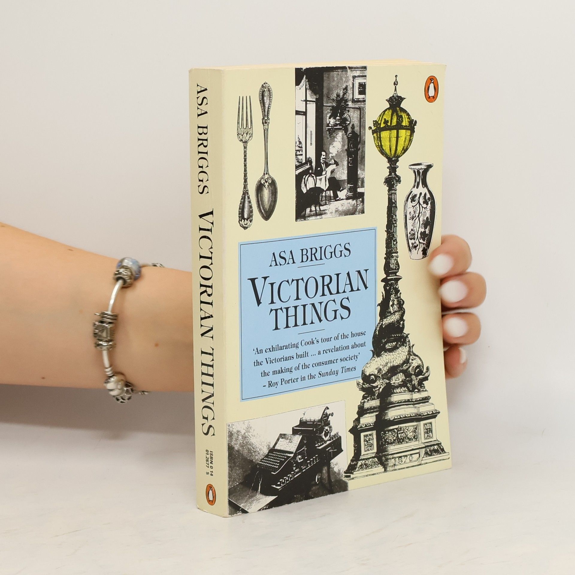 Asa Briggs Victorian Things