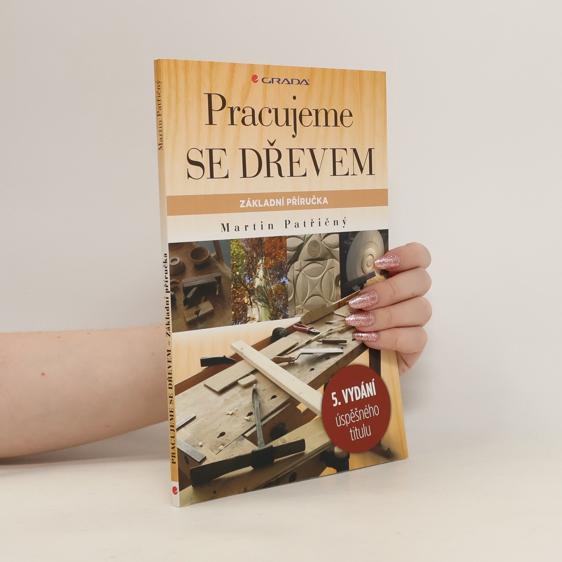 Martin Patřičný Pracujeme se dřevem. Základní příručka