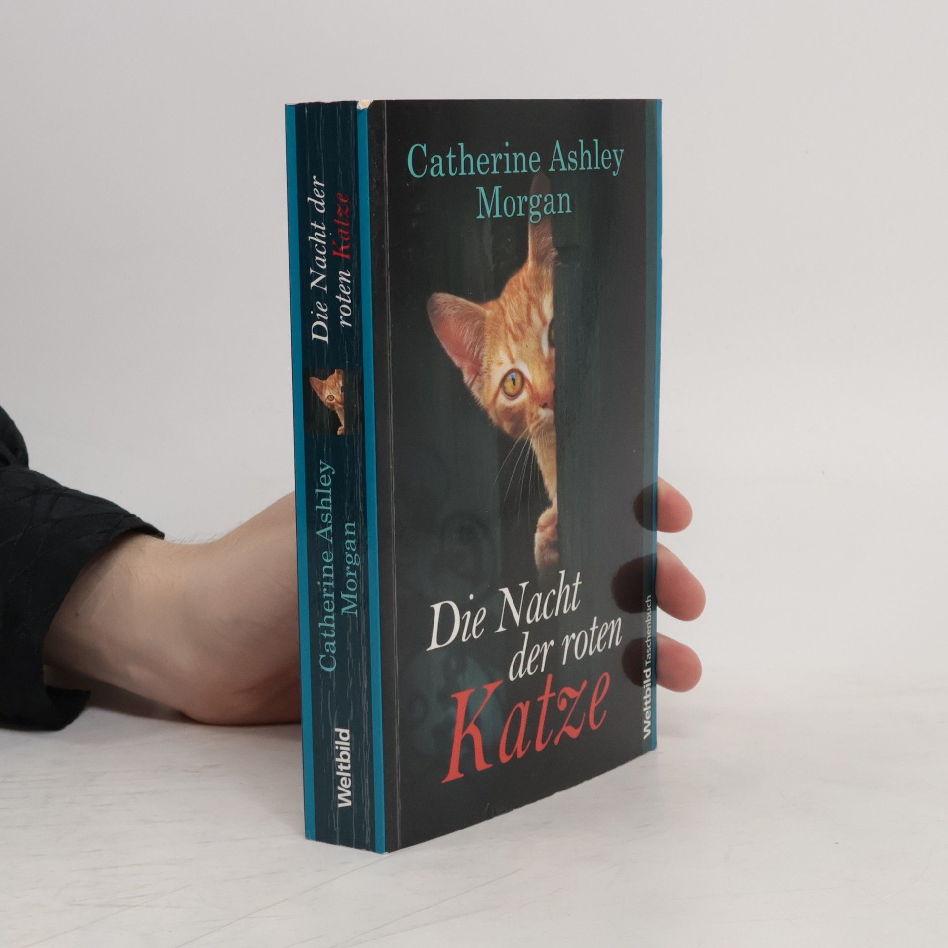 Catherine Ashley Morgan Die Nacht der roten Katze