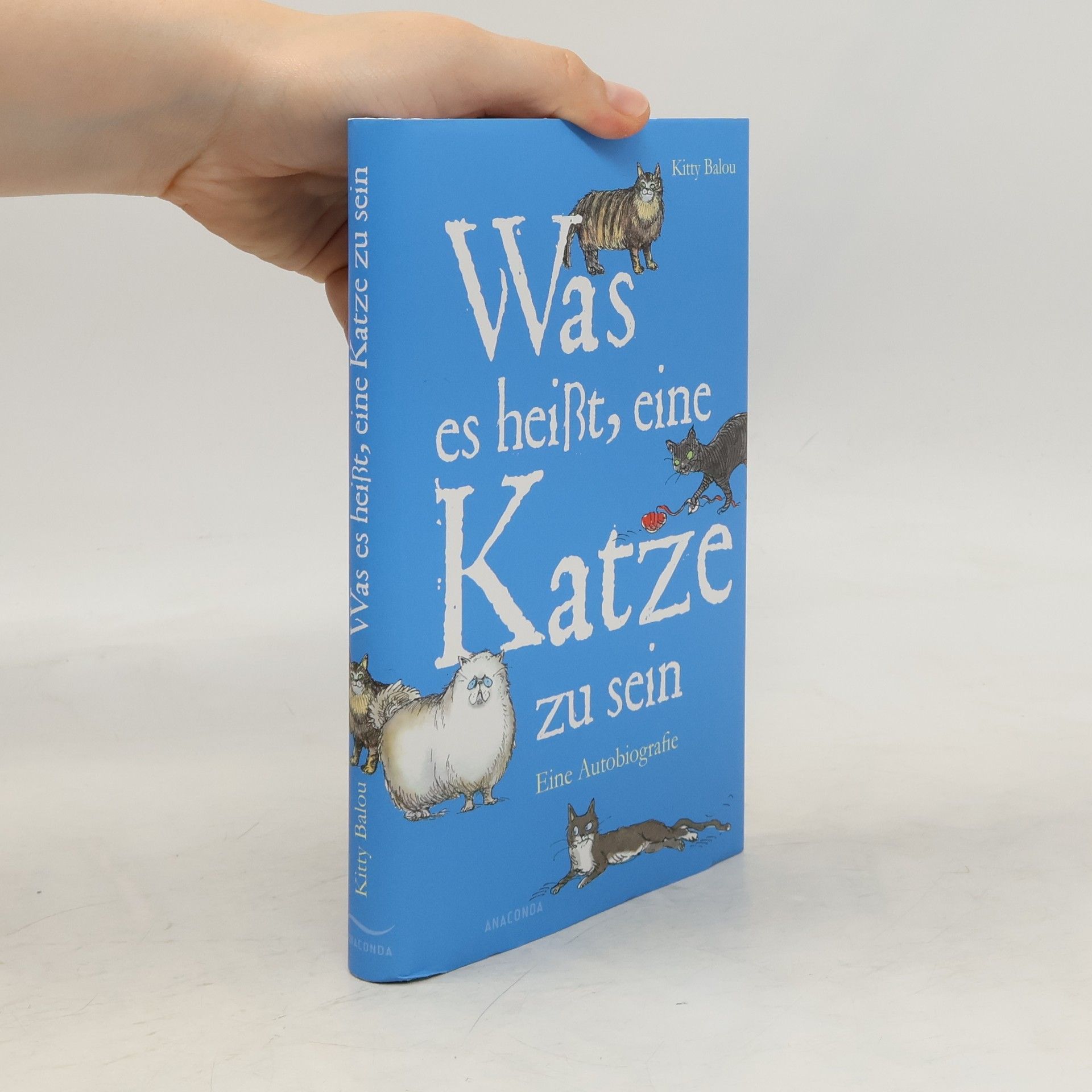Kitty Balou Was es heißt, eine Katze zu sein