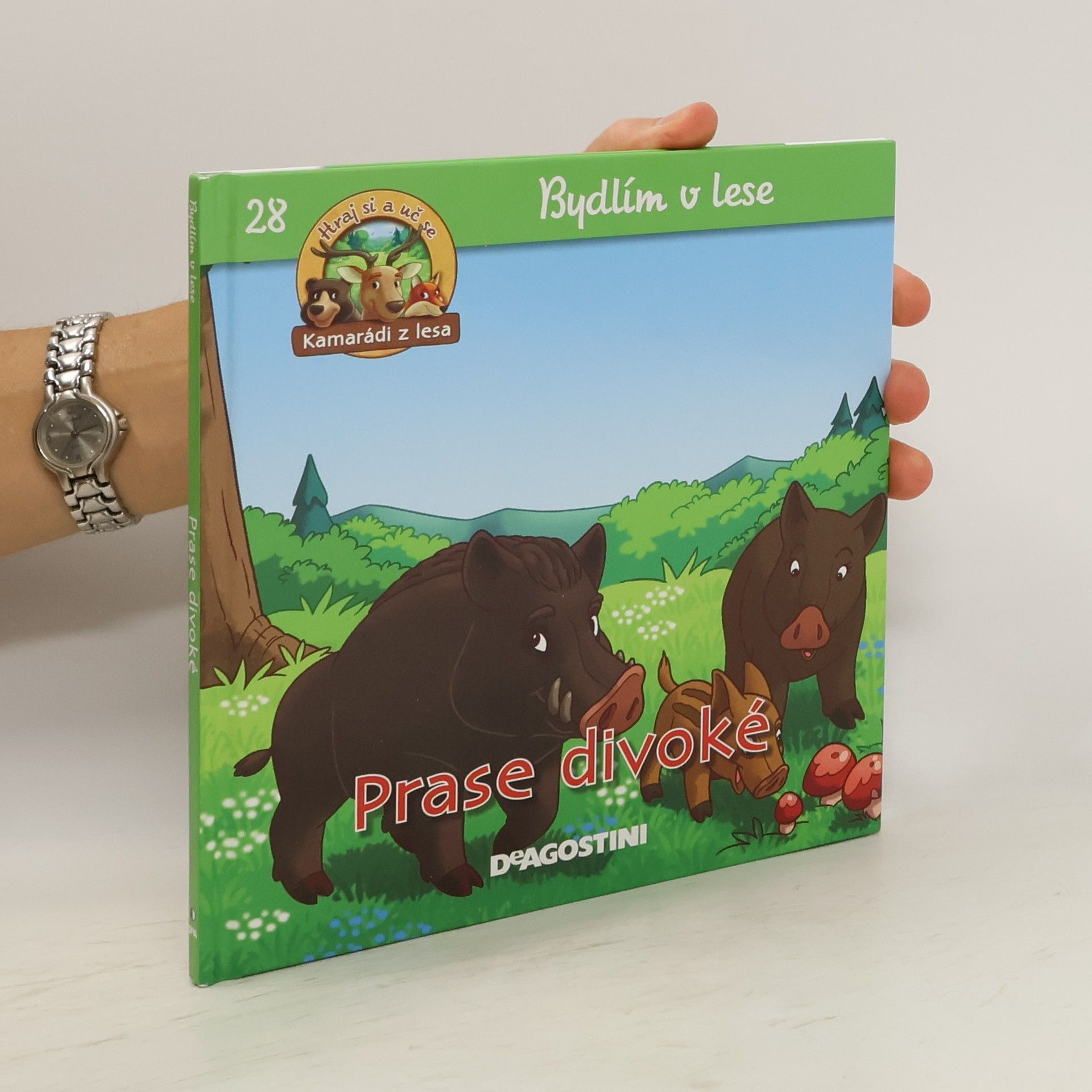 Kolektiv autorů Bydlím v lese 28. Prase divoké