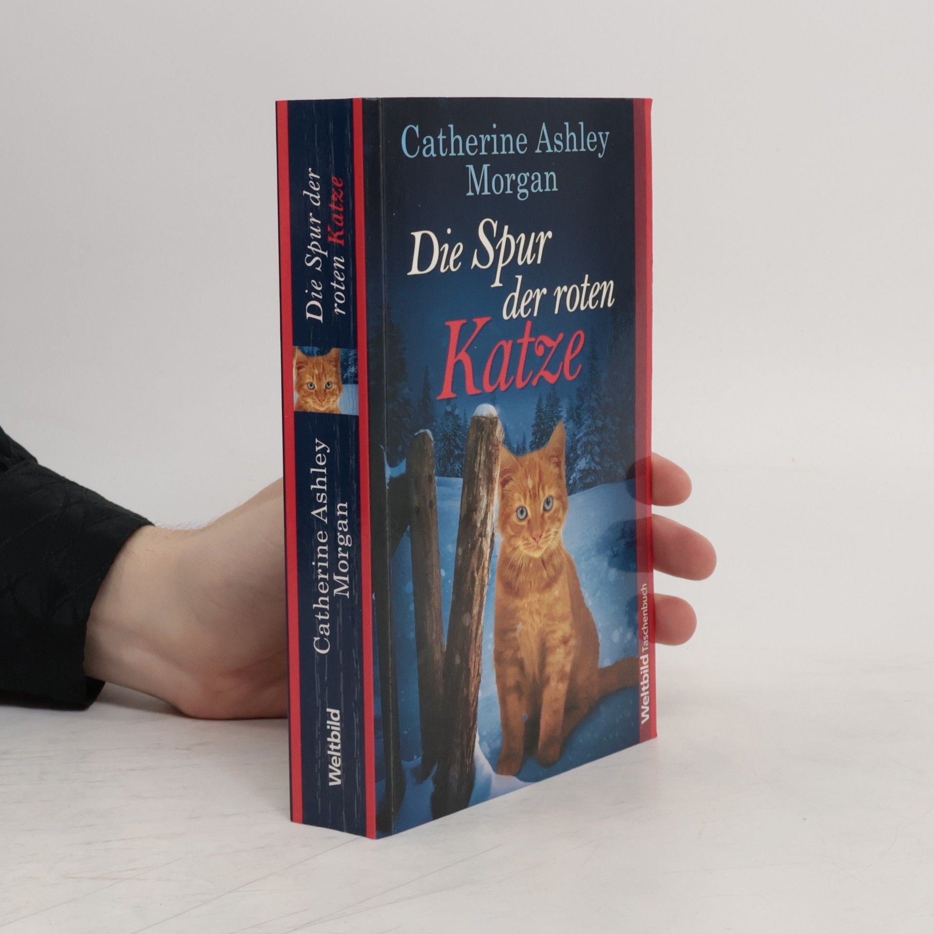 Catherine Ashley Morgan Die Spur der roten Katze