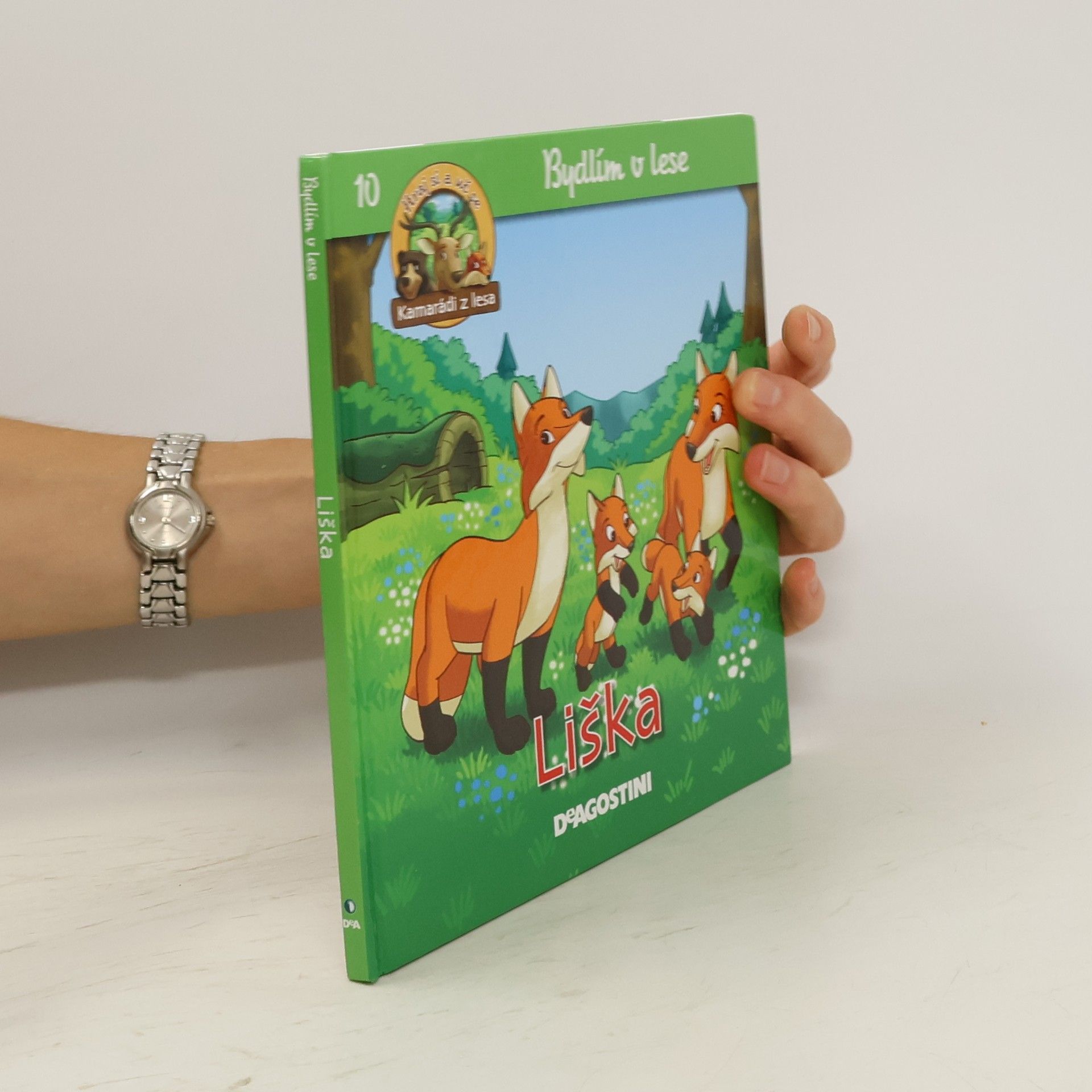 kolektiv Bydlím v lese 10. Liška