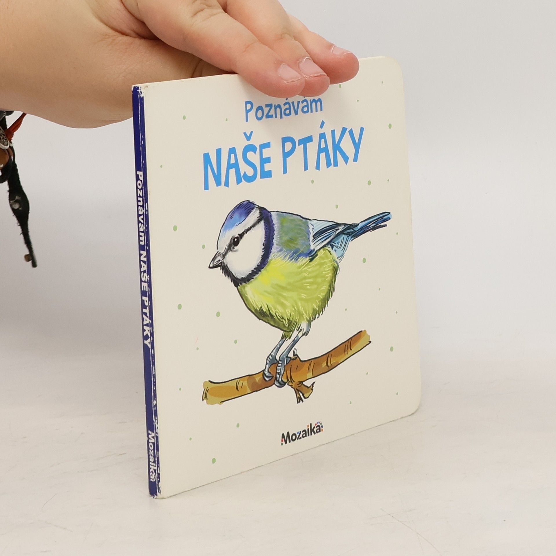 Kolektiv autorů Poznávám naše ptáky