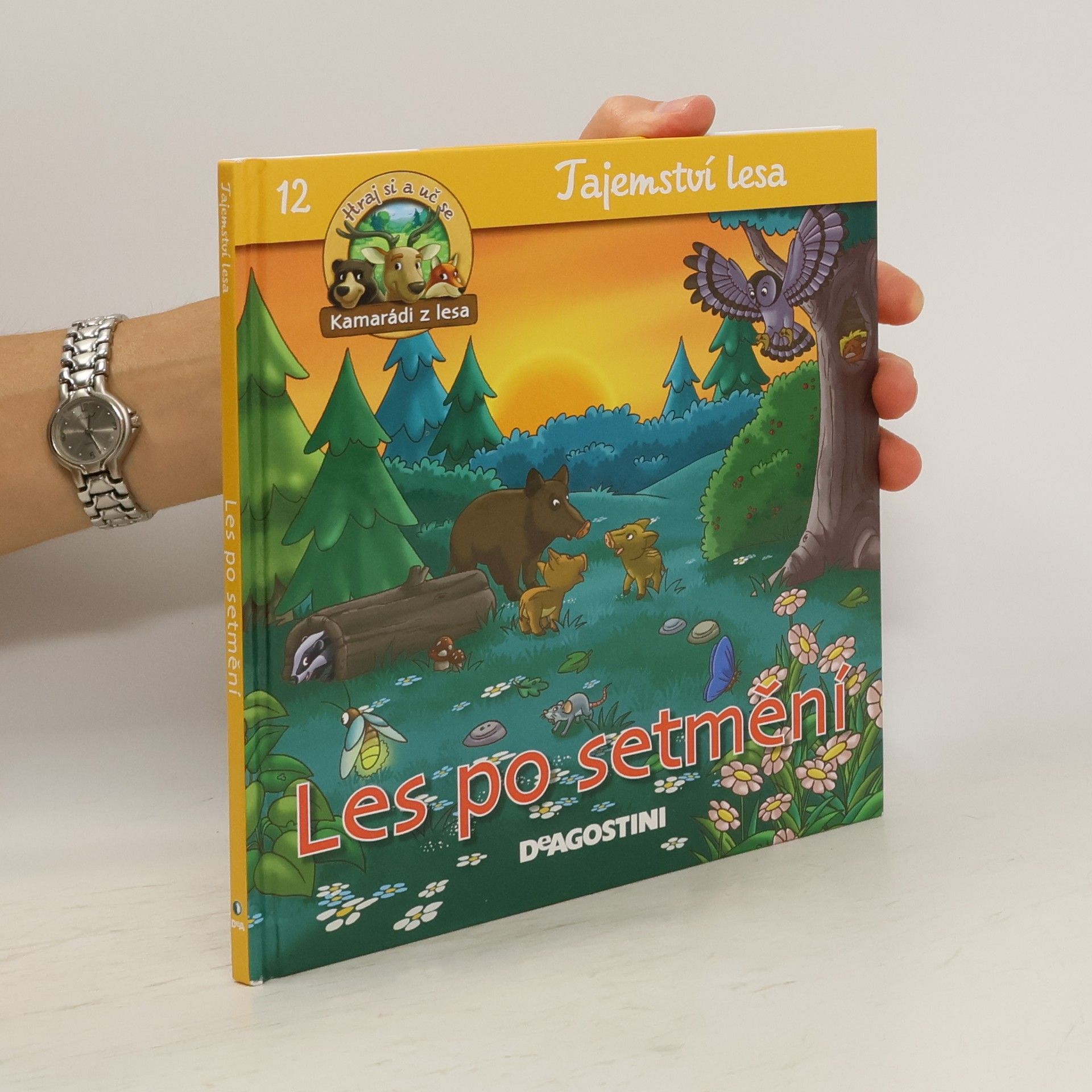 Collectif d'auteurs Tajemství lesa 12. Les po setmění