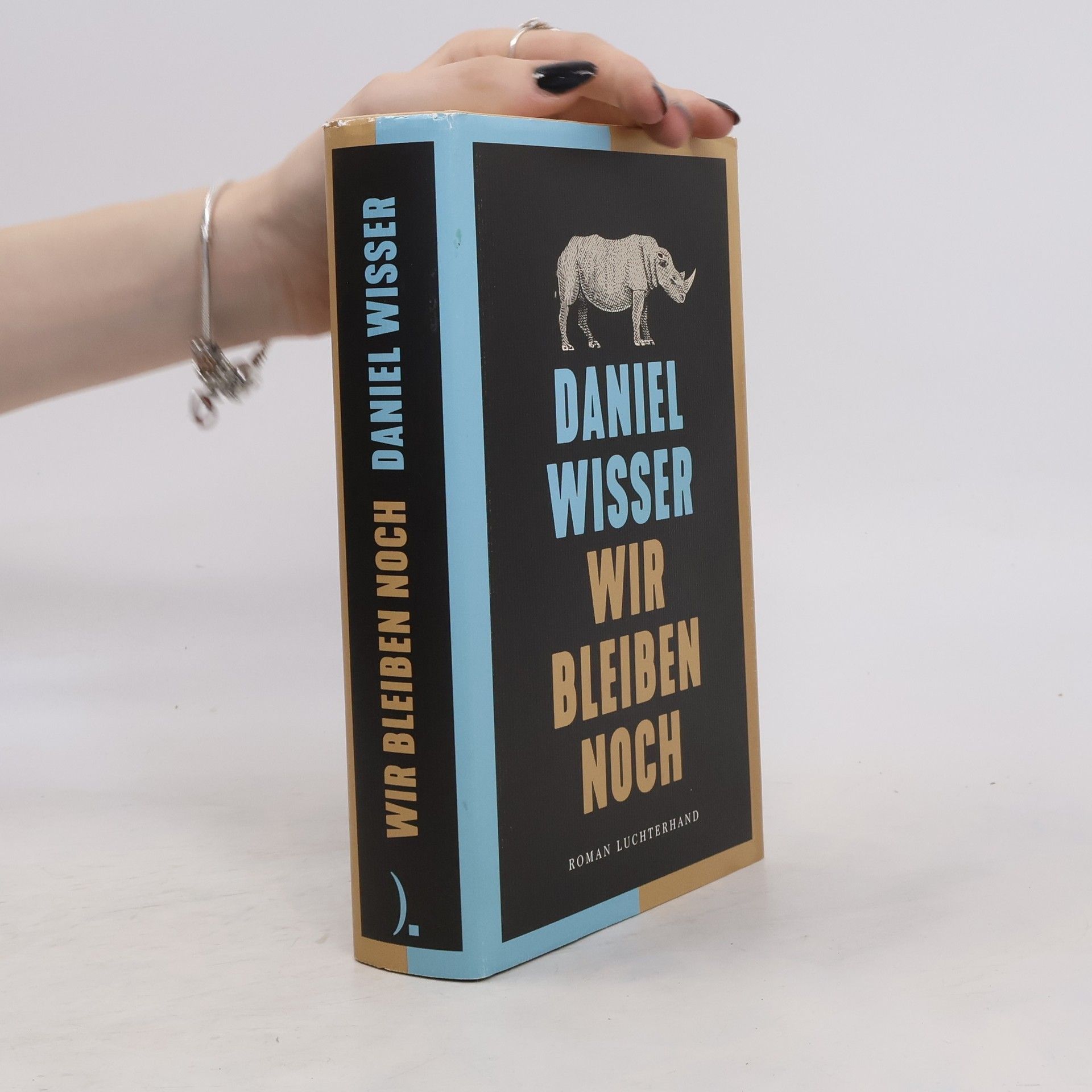 Daniel Wisser Wir bleiben noch