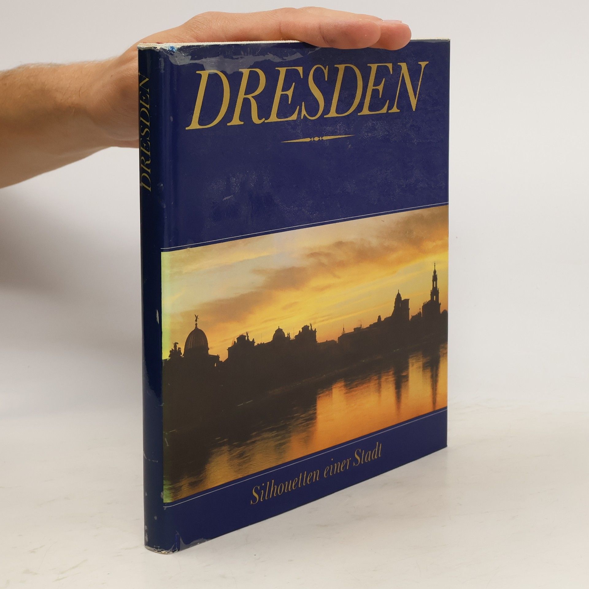 Collectif d'auteurs Dresden