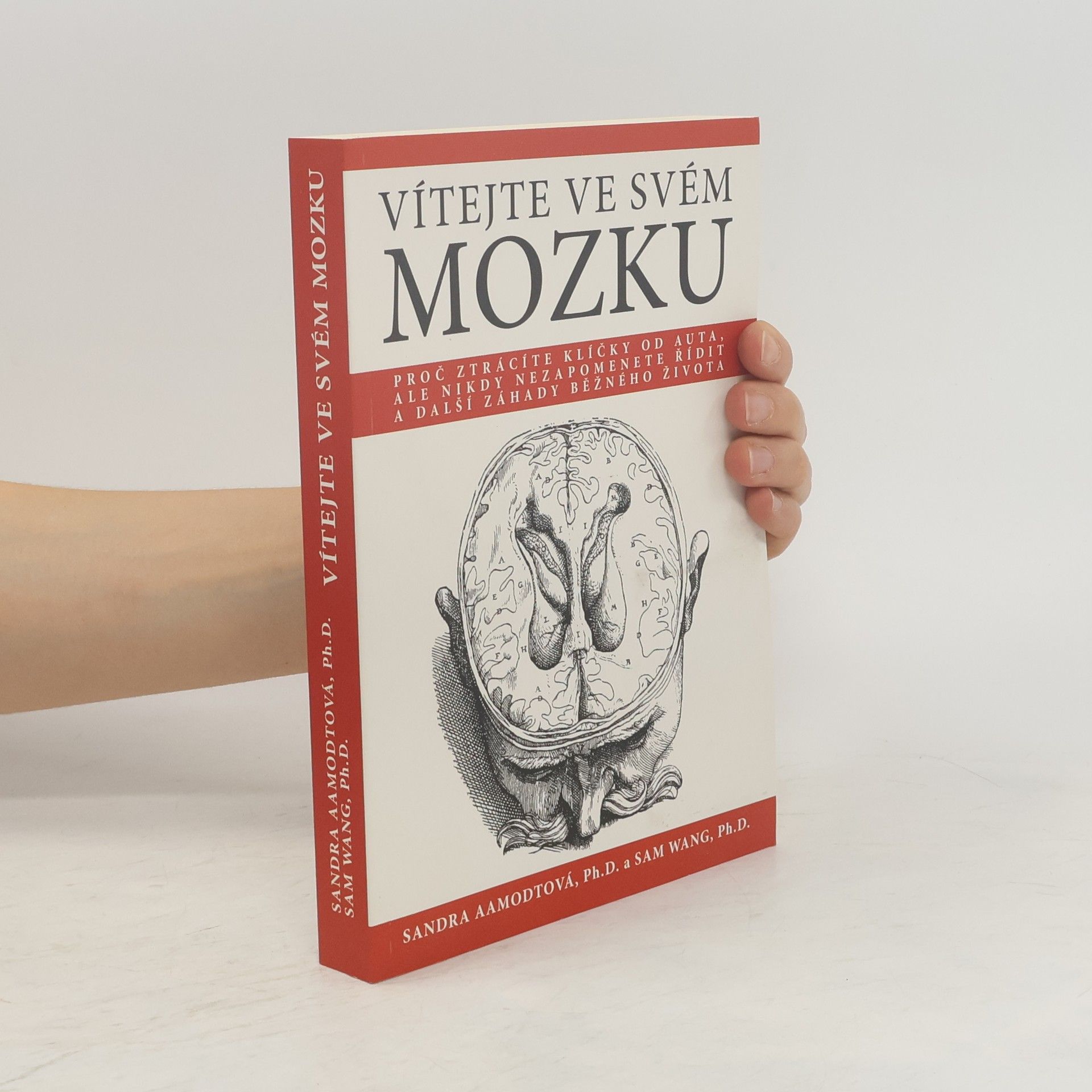 Vítejte ve svém mozku